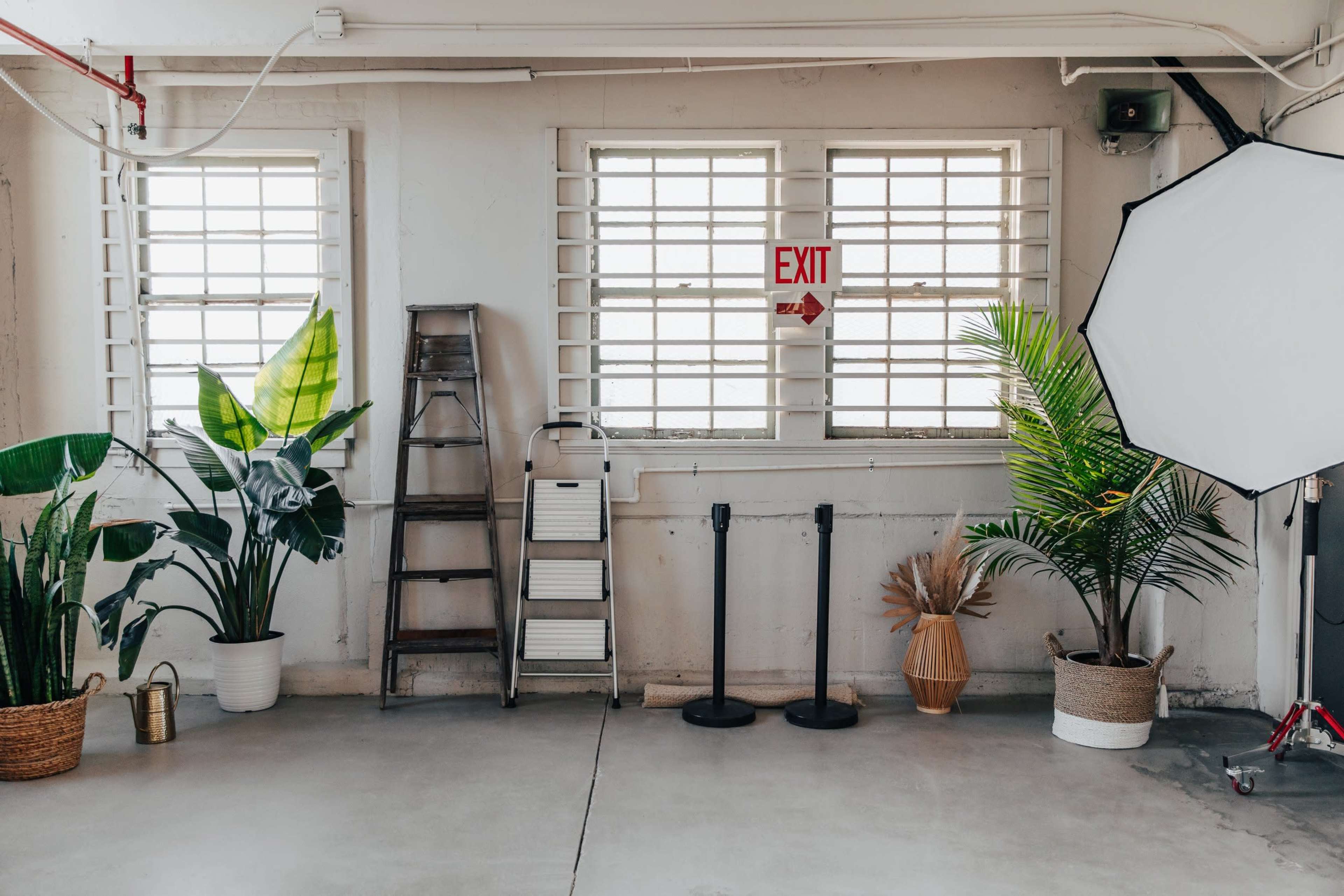 A well-lit interior space with two windows, potted plants, a step ladder, an exit sign, and a large softbox light.