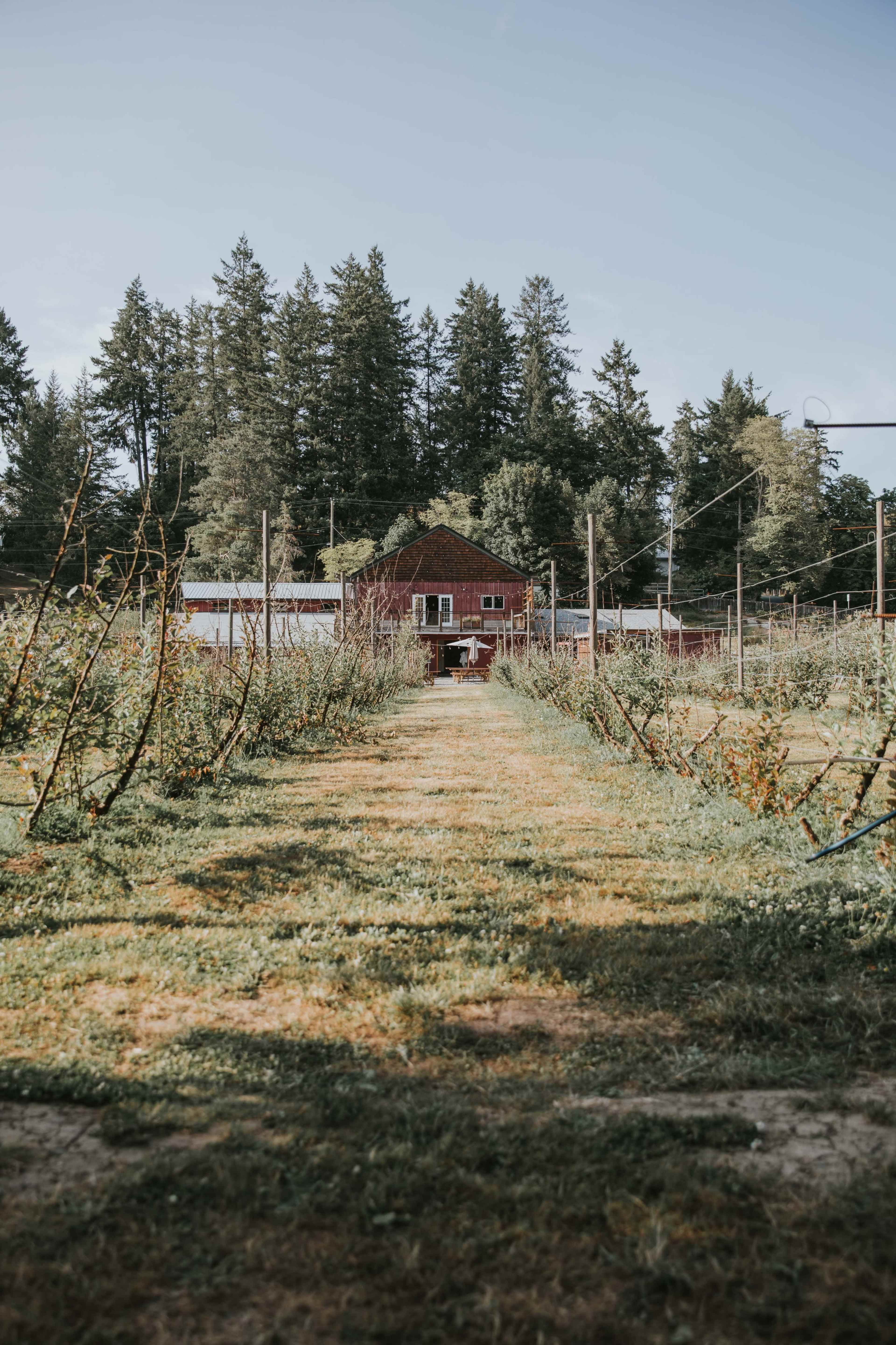 Rustic 8 acre cider farm Image in Saanich, Victoria, BC