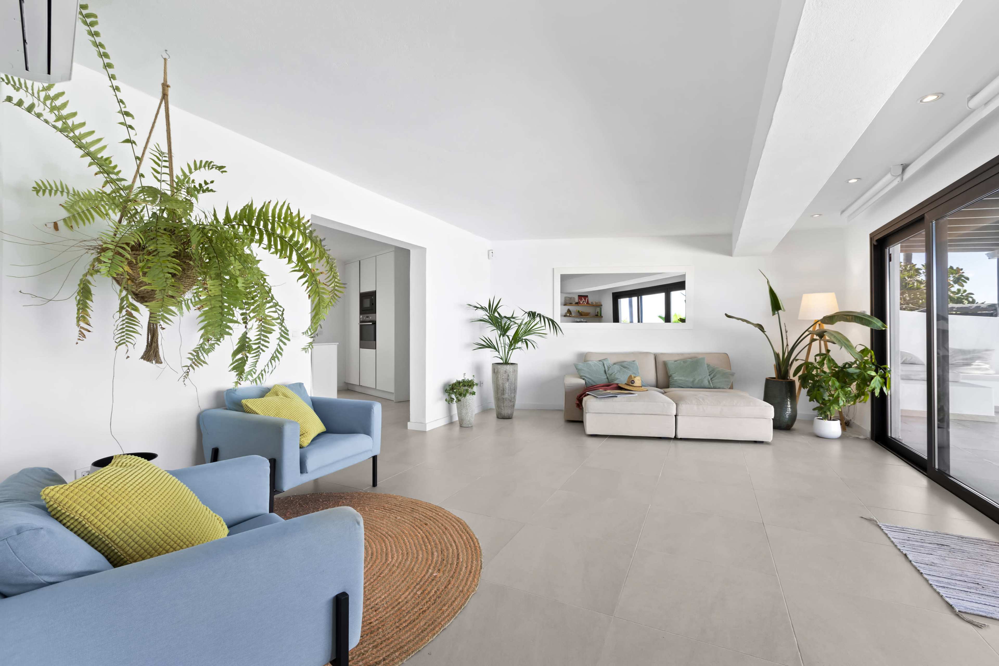 The image shows a bright, modern living room with two blue chairs, a gray sofa, potted plants, and a large mirror on the wall.