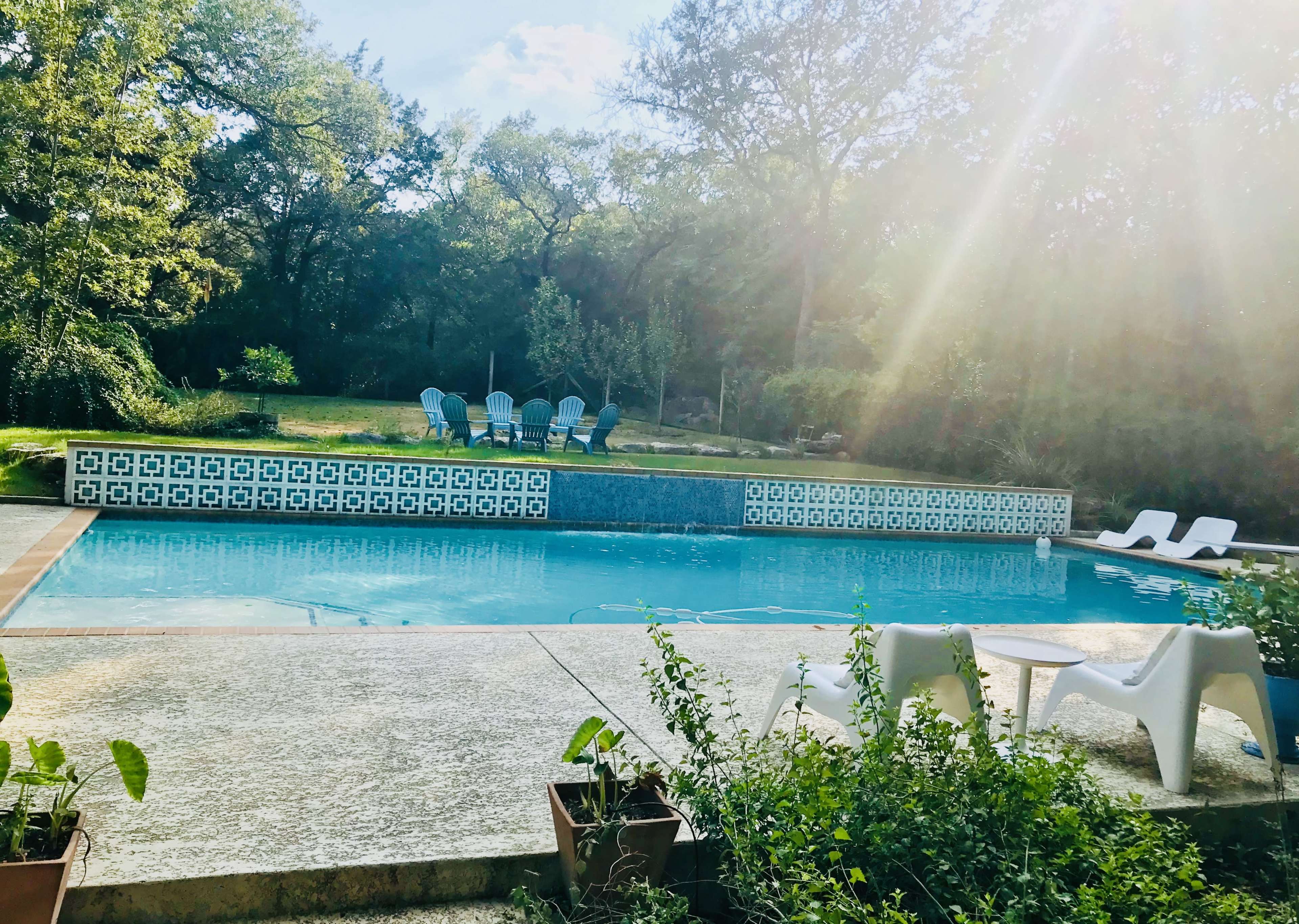 A swimming pool with a patterned tiled edge, surrounded by greenery and lounge chairs under a bright sky.