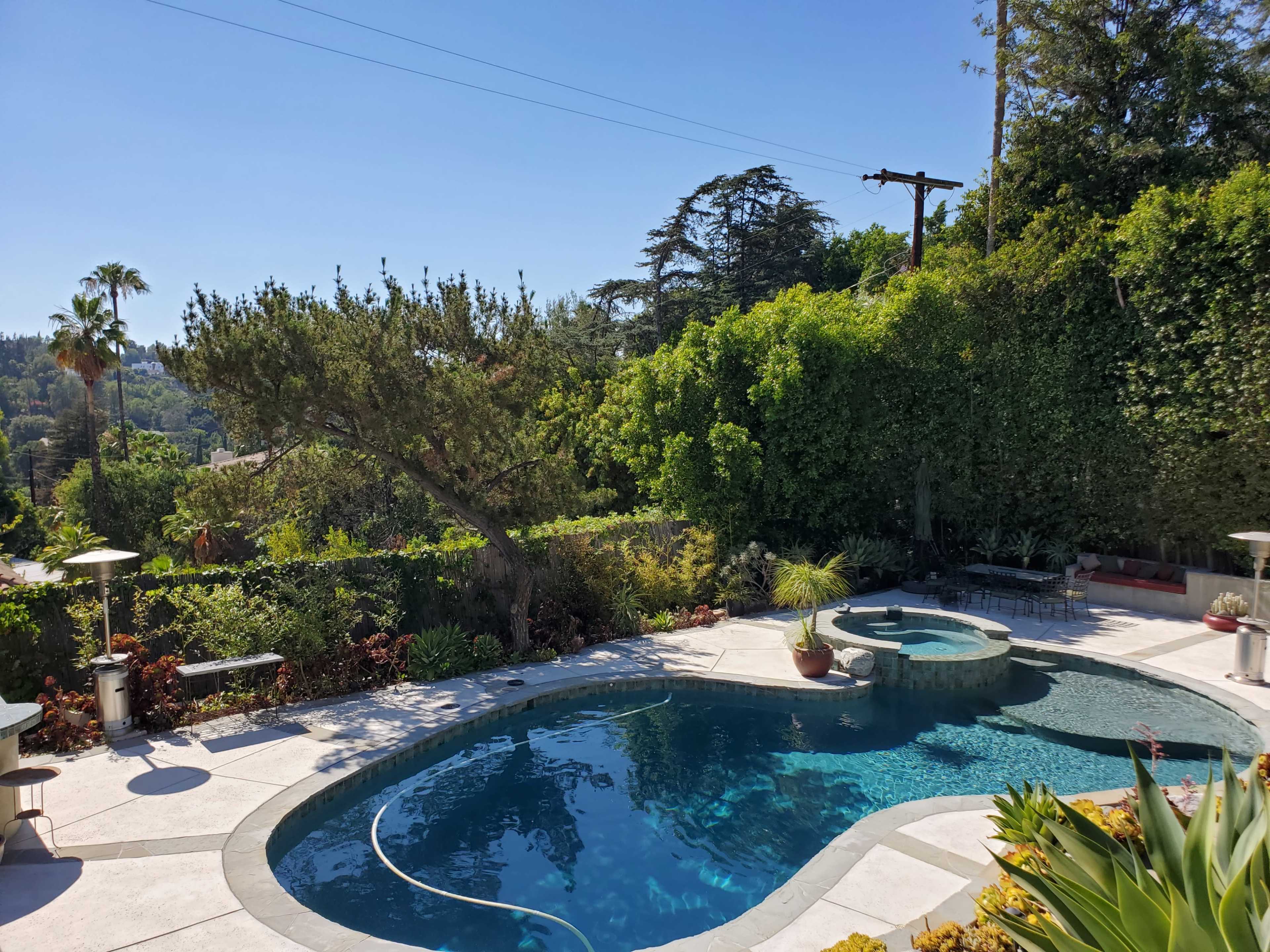 A curved swimming pool with a spa is surrounded by lush greenery and palm trees on a clear day.