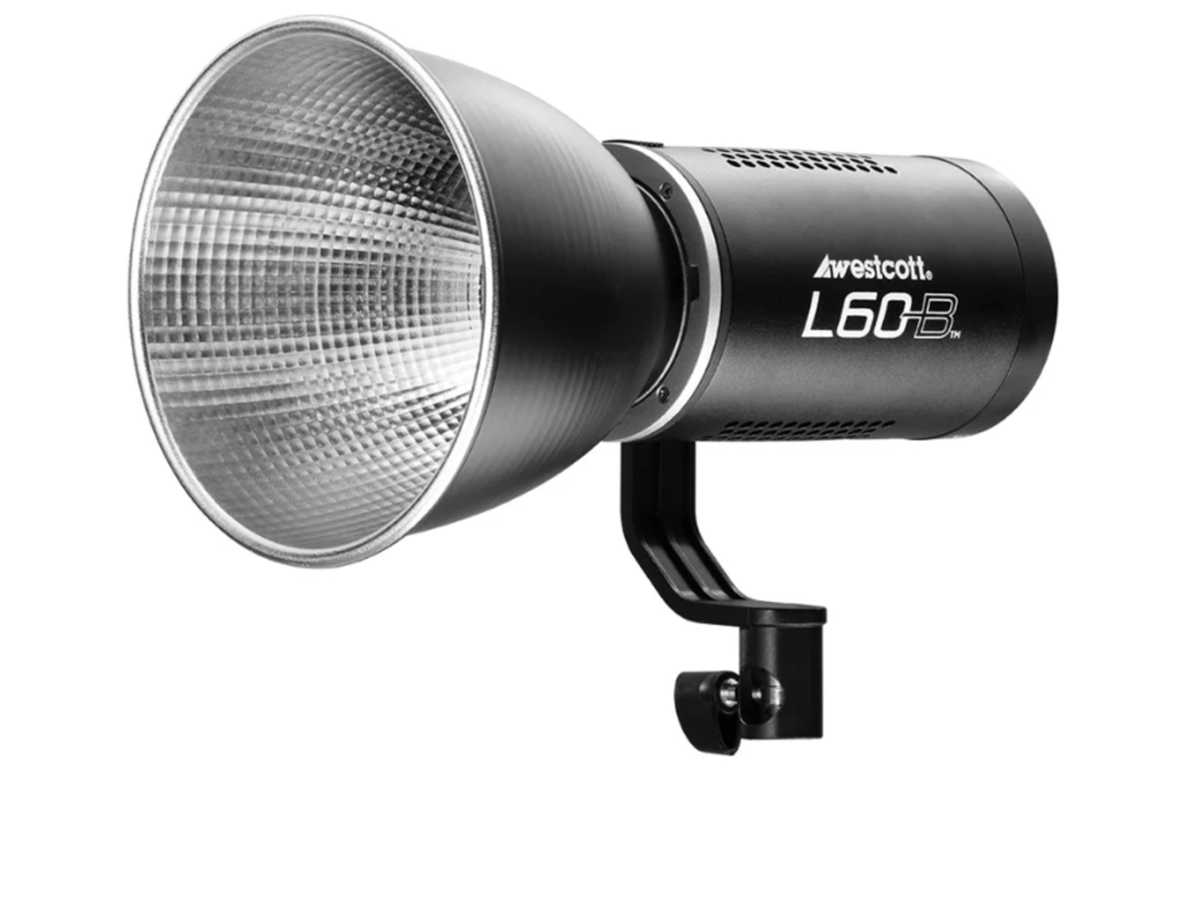 Additional Continuous Light; Westcott L60-B Bi-Co