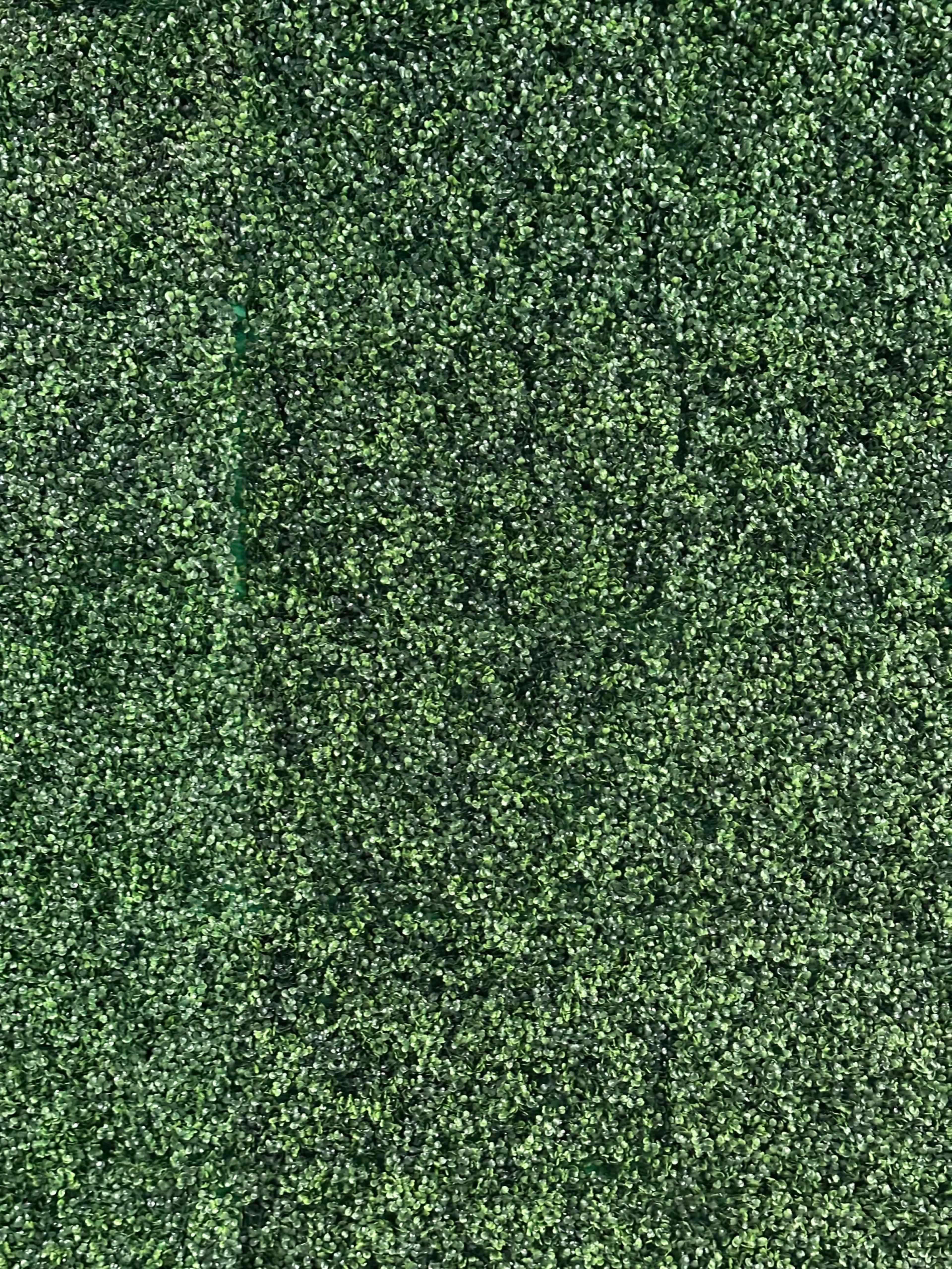 Stylish Content Studio with Grass WallS Image in Cumberland, Atlanta, GA