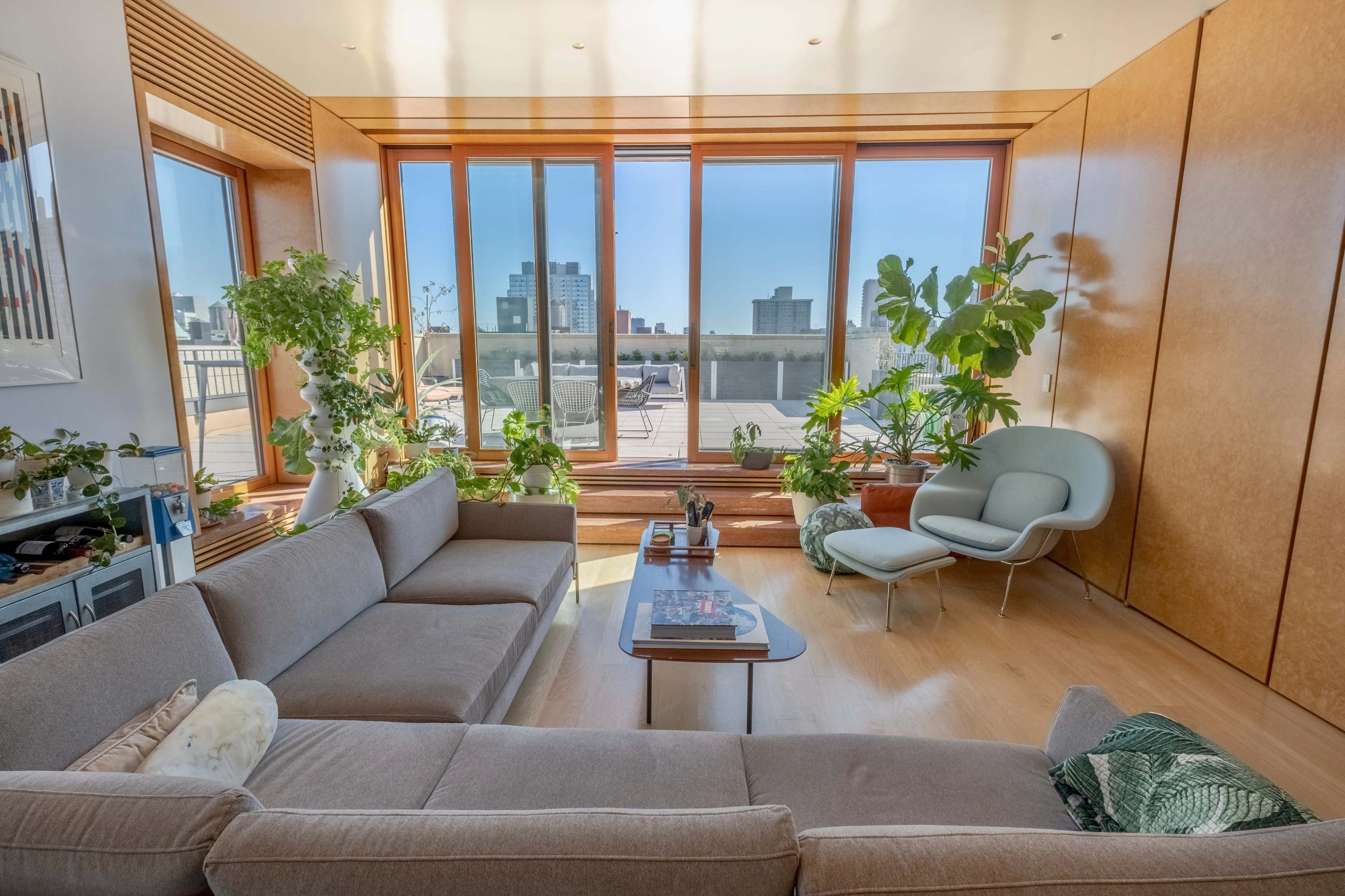 A modern living room with large windows, a gray sofa, a light blue chair, and potted plants.