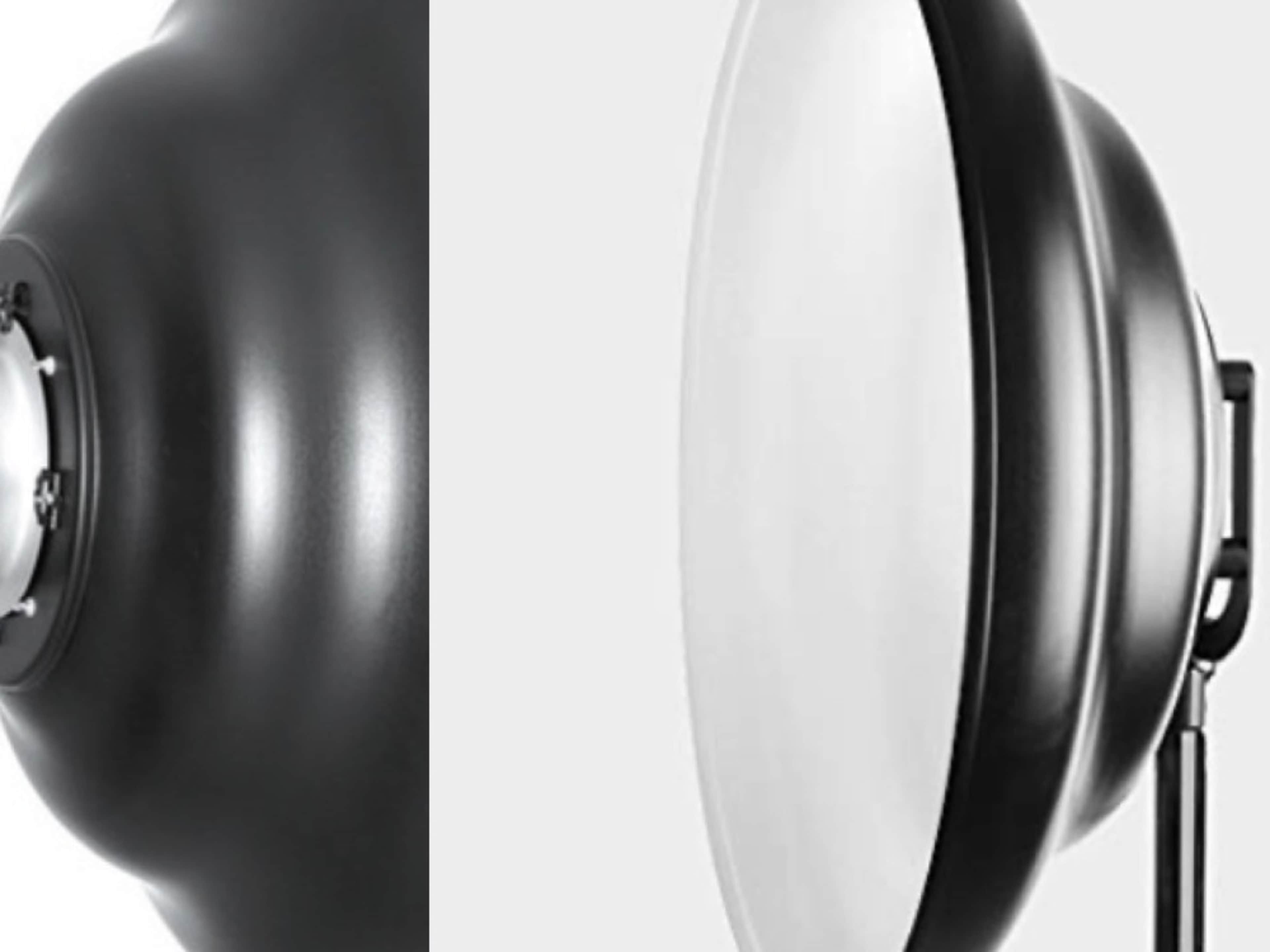 Mola Beauty Dish