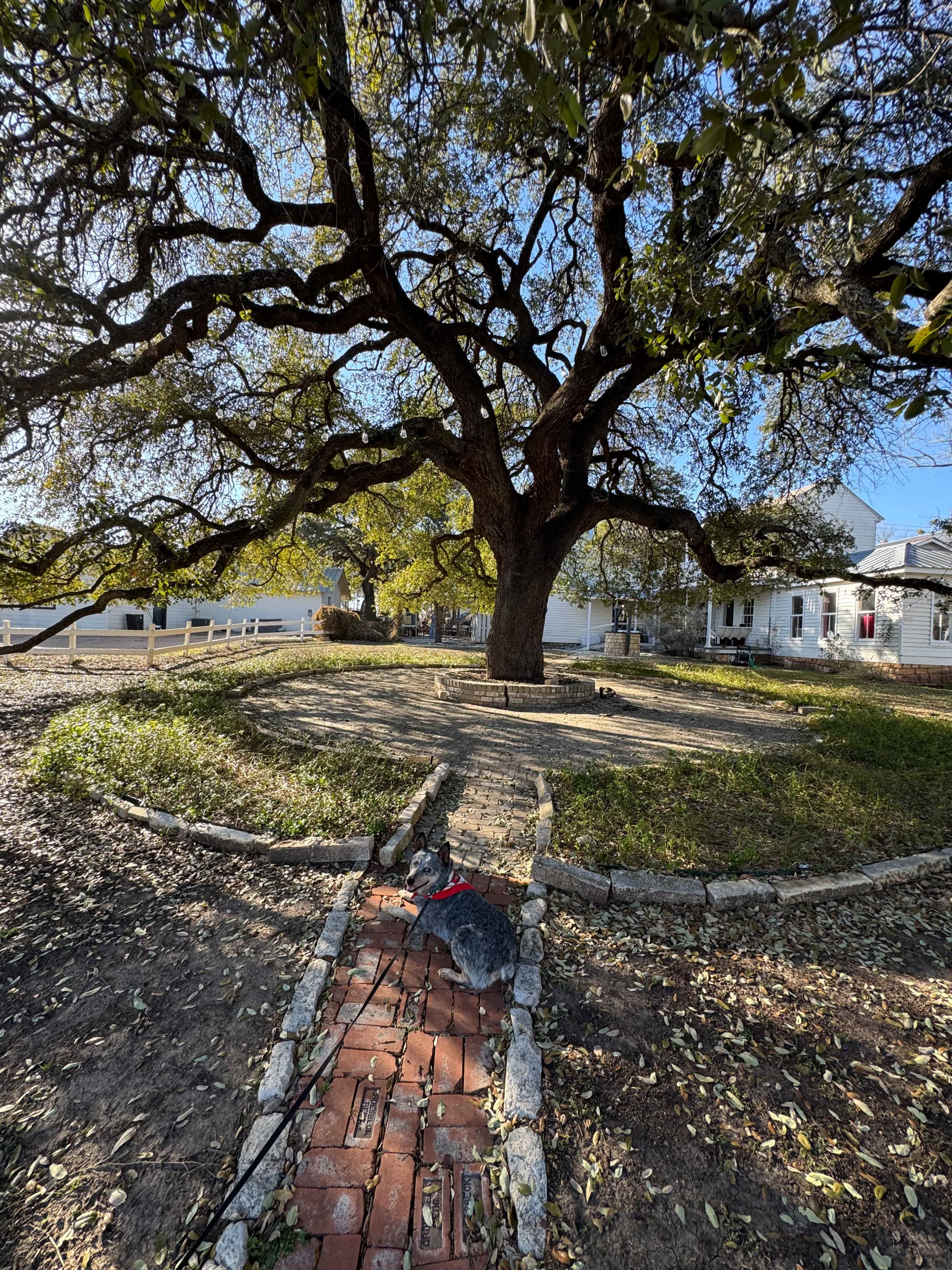 Venue featuring a historic chapel, est. 1901, just outside Austin, TX. Image in Salado, Salado, TX