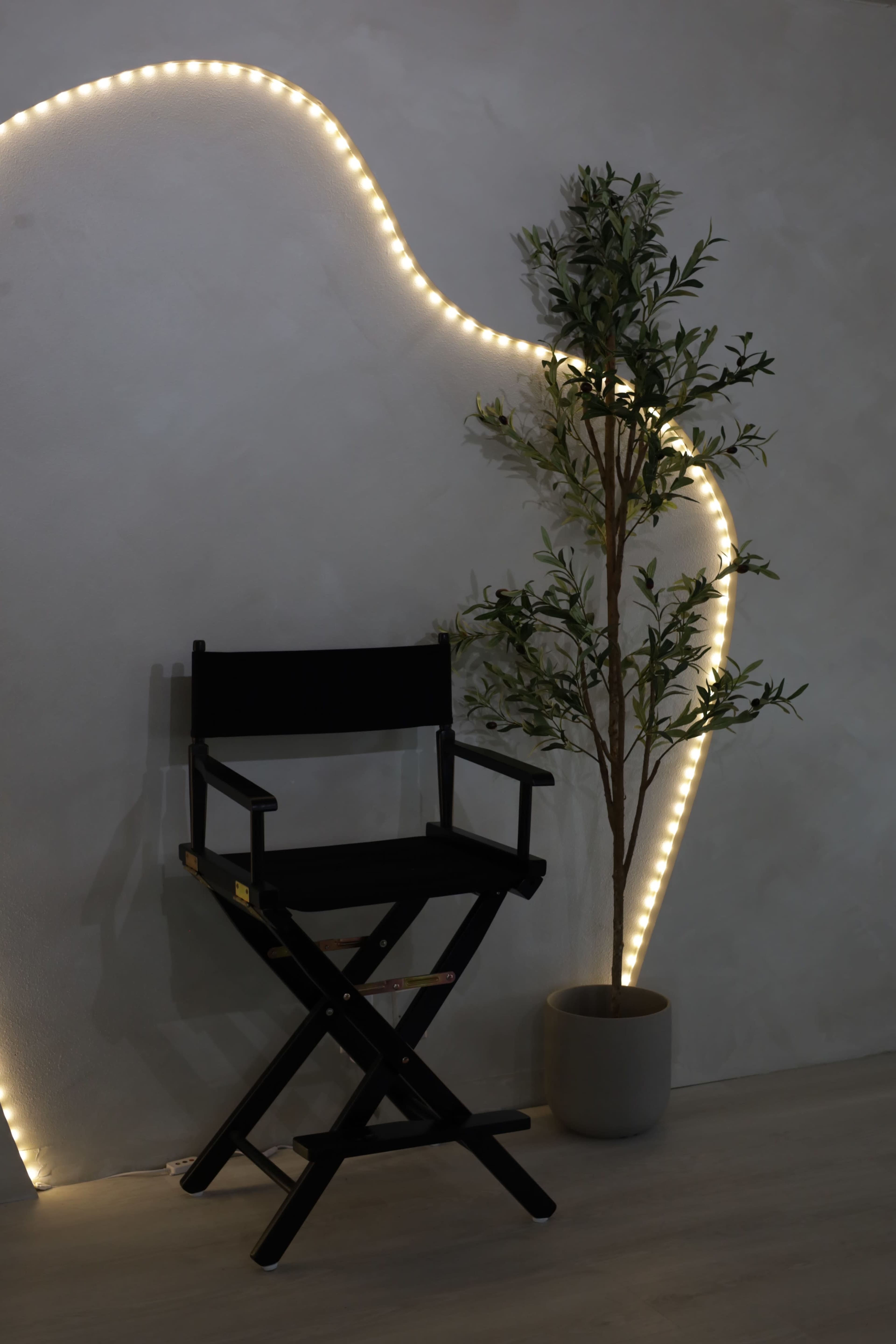 A black director's chair is placed next to a potted plant against a softly illuminated wall.