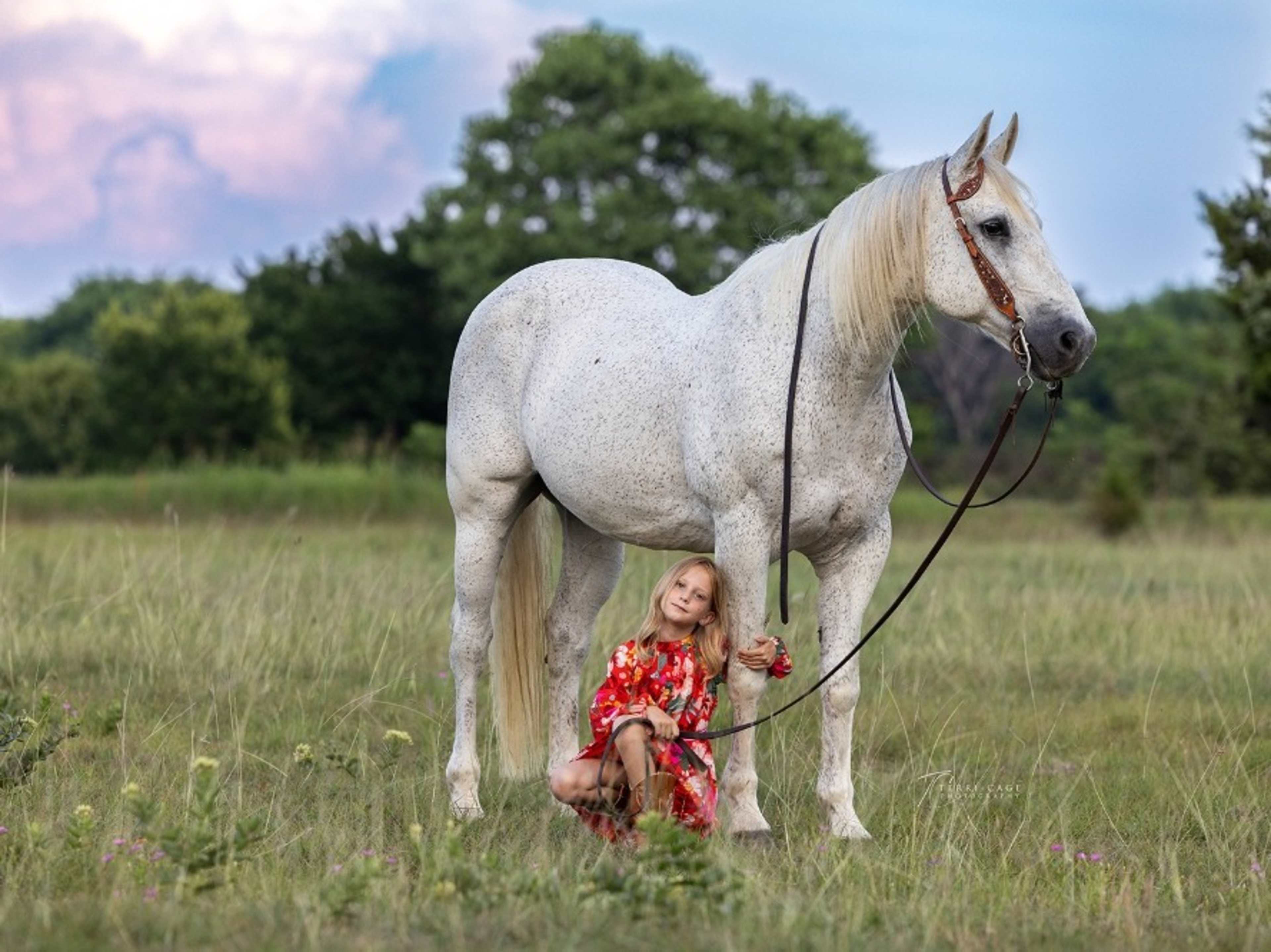 Horse Rental