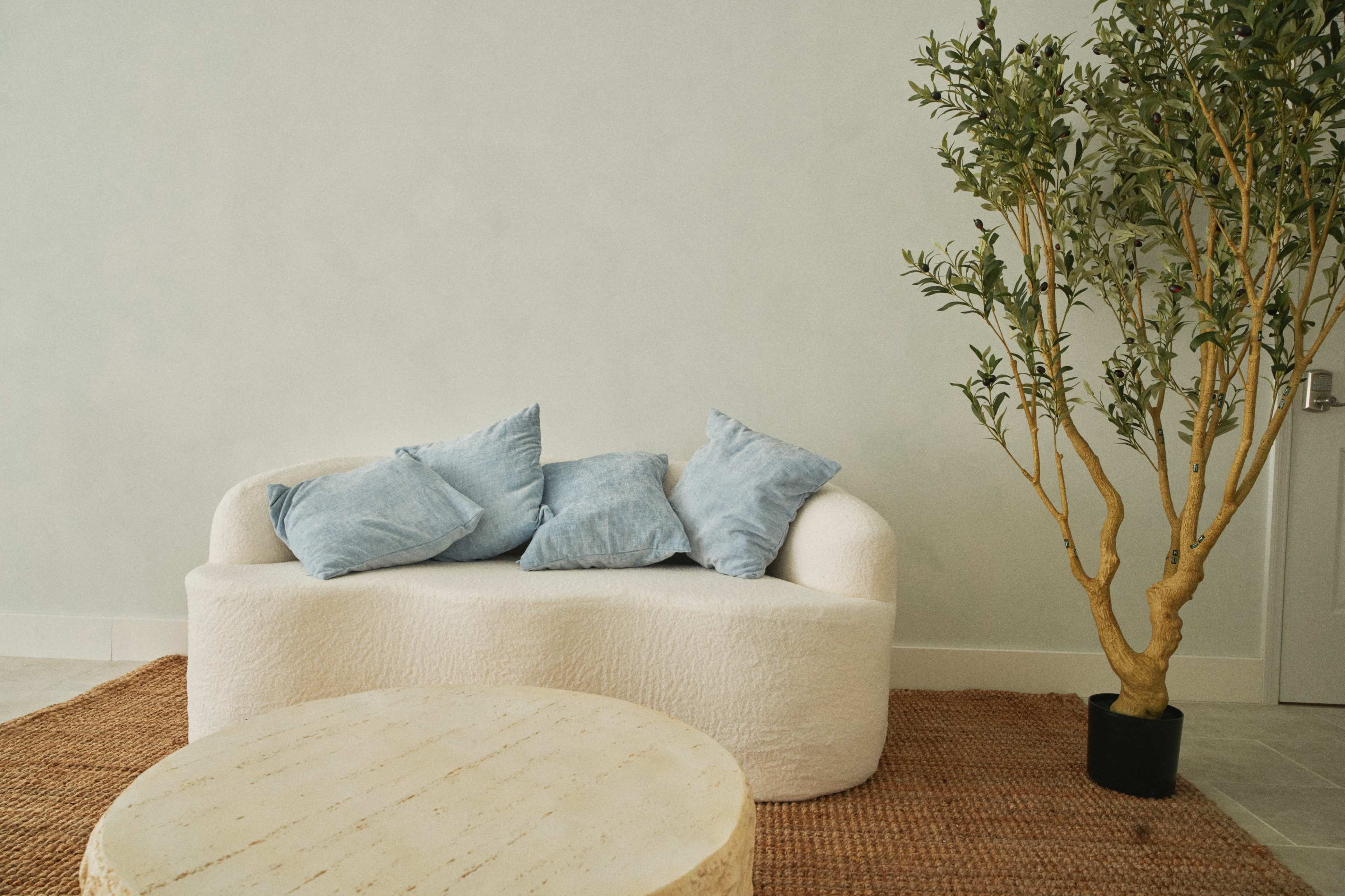 A curved white sofa with blue cushions is positioned next to a small coffee table and a potted tree in a light-colored room.