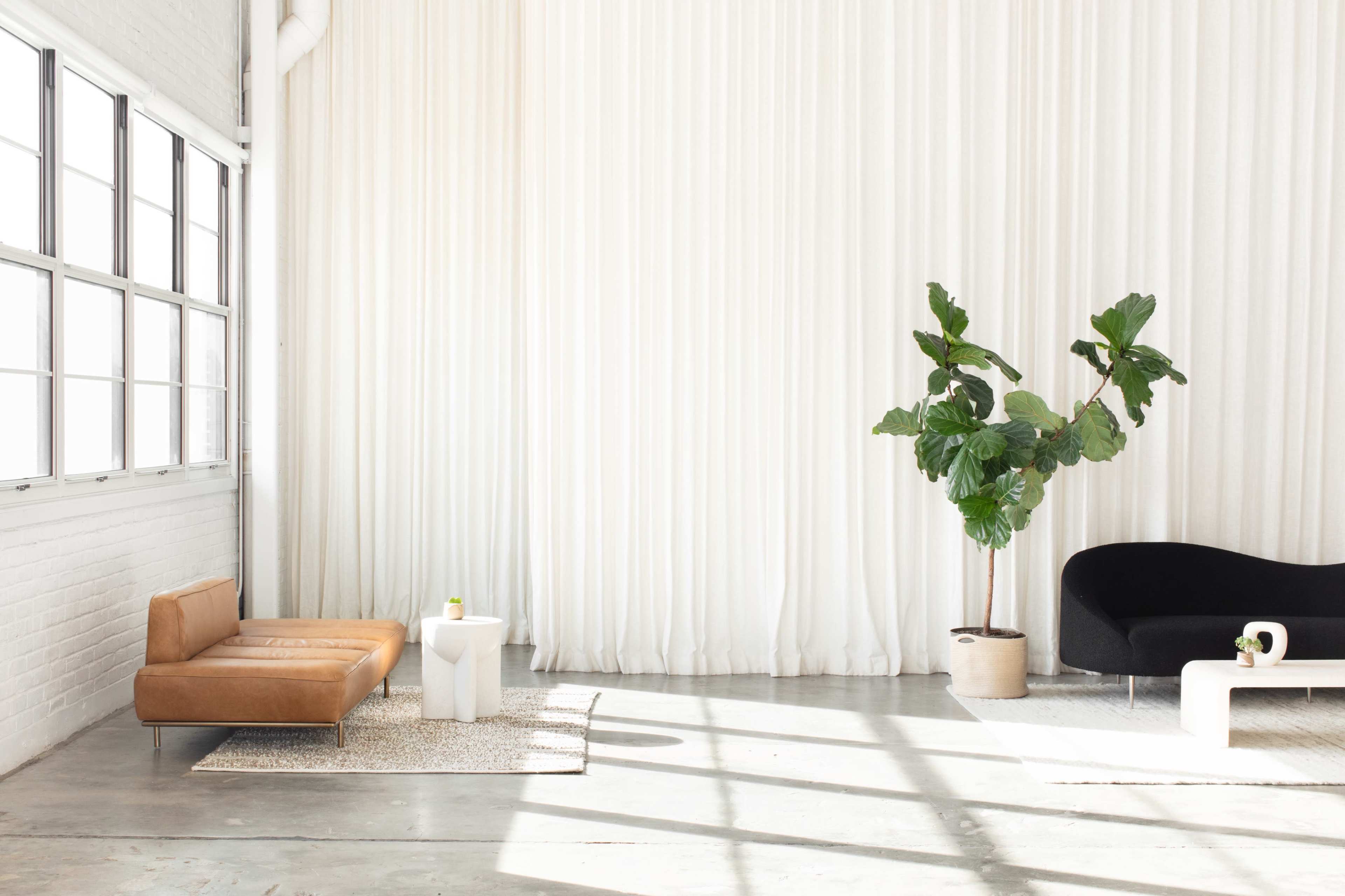 The image shows a modern interior space with a brown leather sofa, a black curved couch, a potted plant, and large windows allowing natural light to enter.