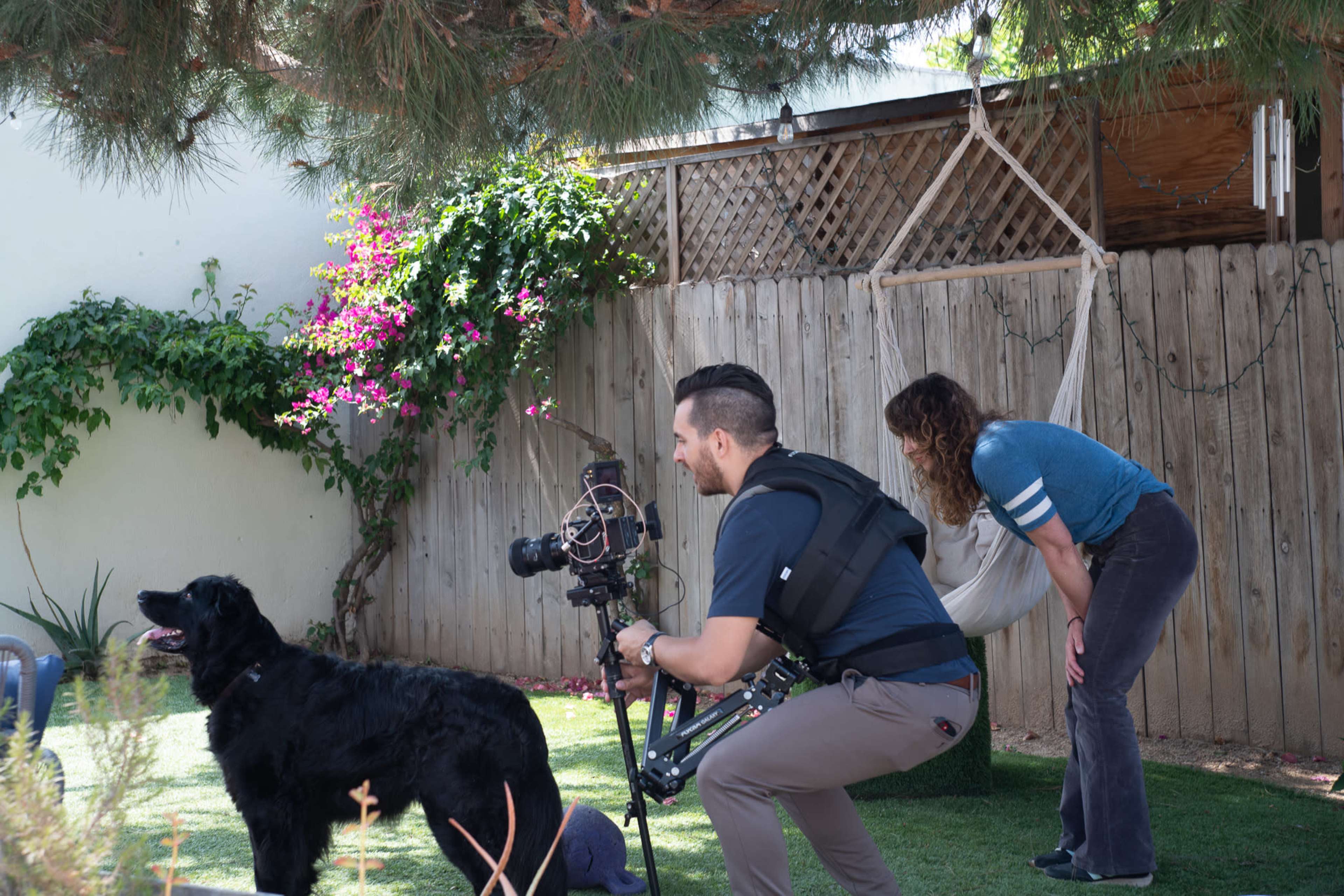 A man using a camera on a stabilizing rig captures footage of a black dog in a backyard while a woman adjusts a hammock in the background.