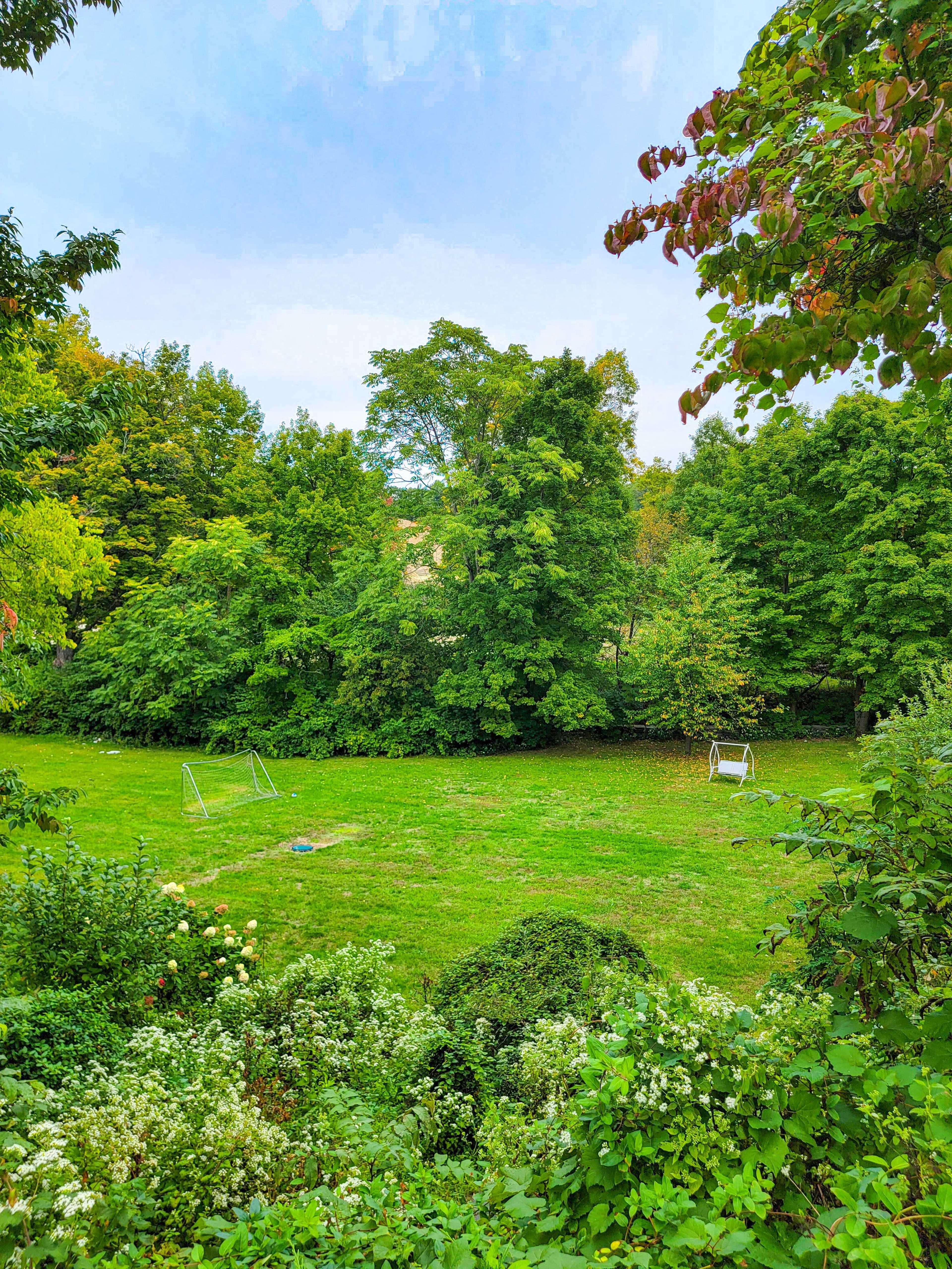 A grassy area surrounded by trees features two playground swings and a small slide.