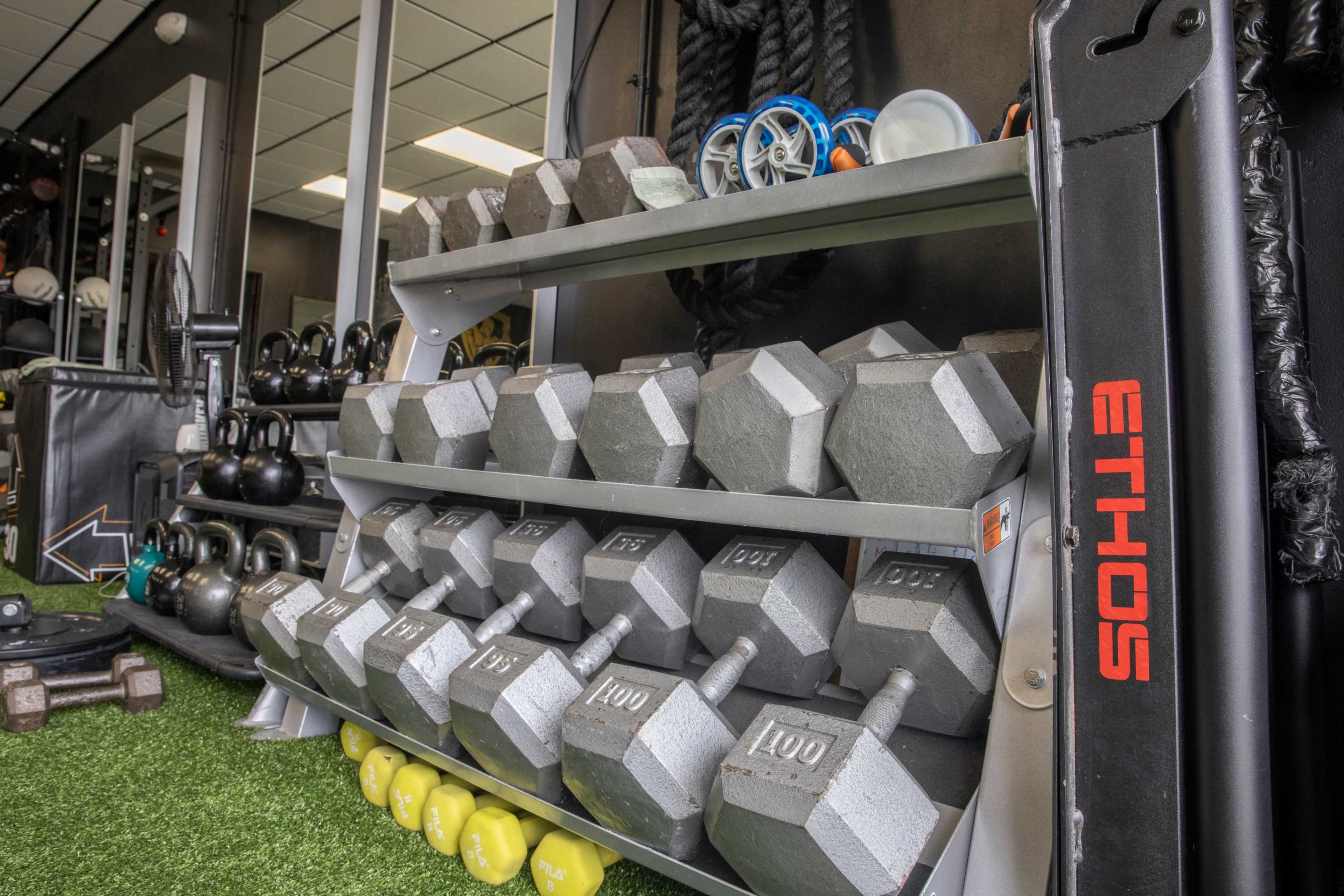 A neatly arranged set of dumbbells on a rack in a fitness facility, with other fitness equipment visible in the background.
