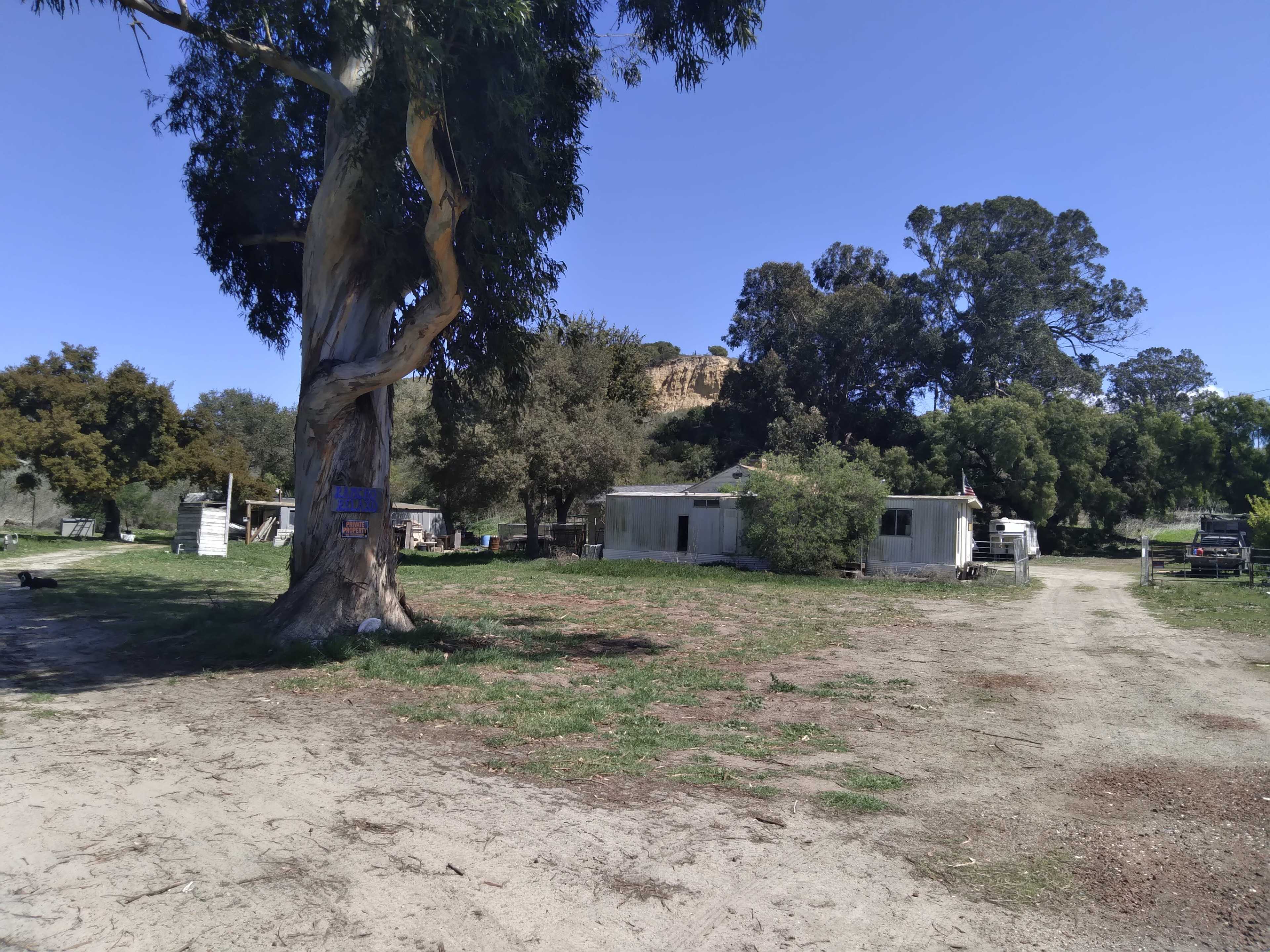 A rural scene featuring a large eucalyptus tree, a few small structures, and a dirt path leading through green grass.