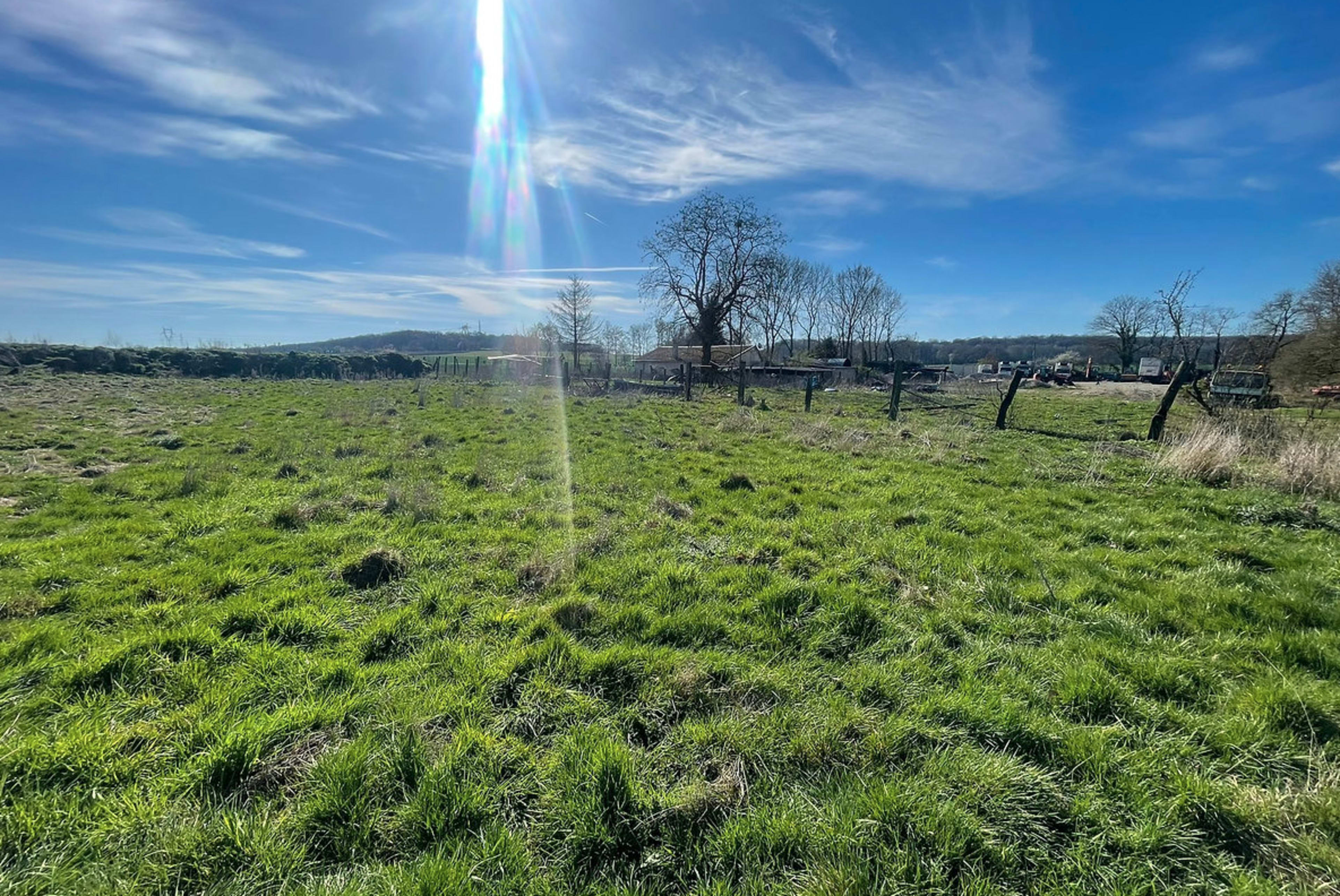 A grassy field stretches under a clear blue sky, with scattered trees and a faint outline of buildings in the background.