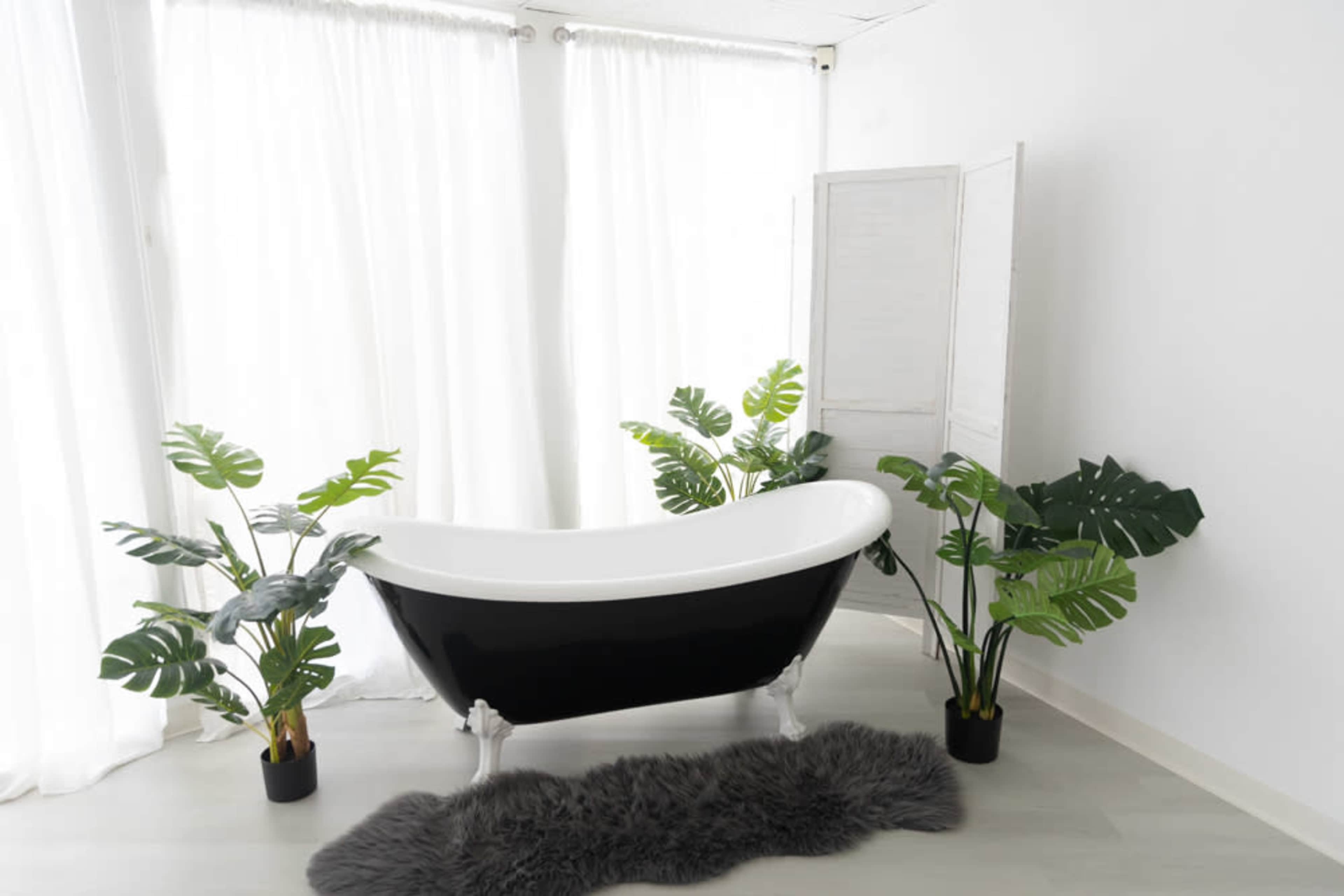 A black and white freestanding bathtub is positioned in a bright room with large windows, surrounded by green plants and a soft rug.