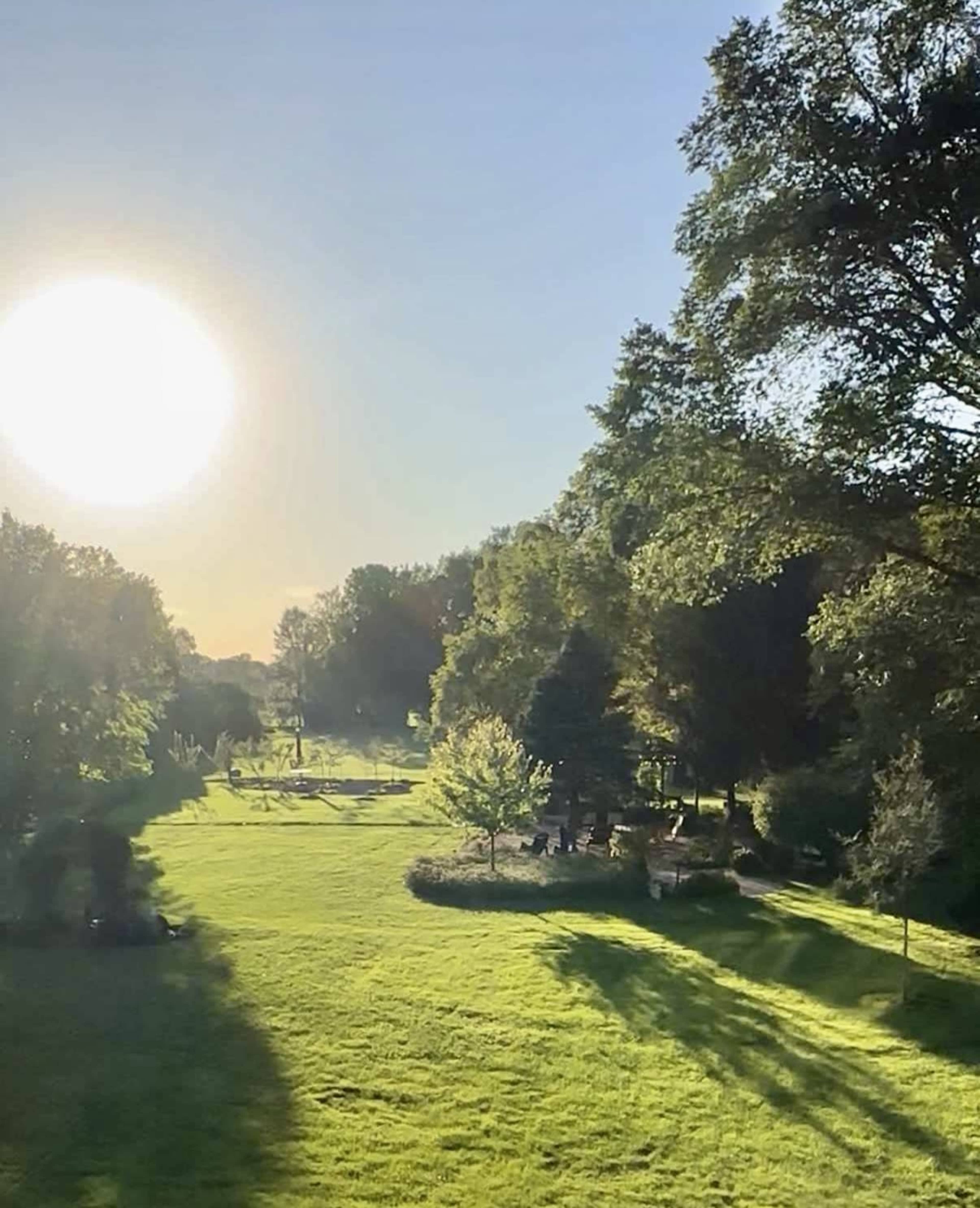 The image shows a sunlit landscape with a grassy area, trees, and a park setting in the distance.