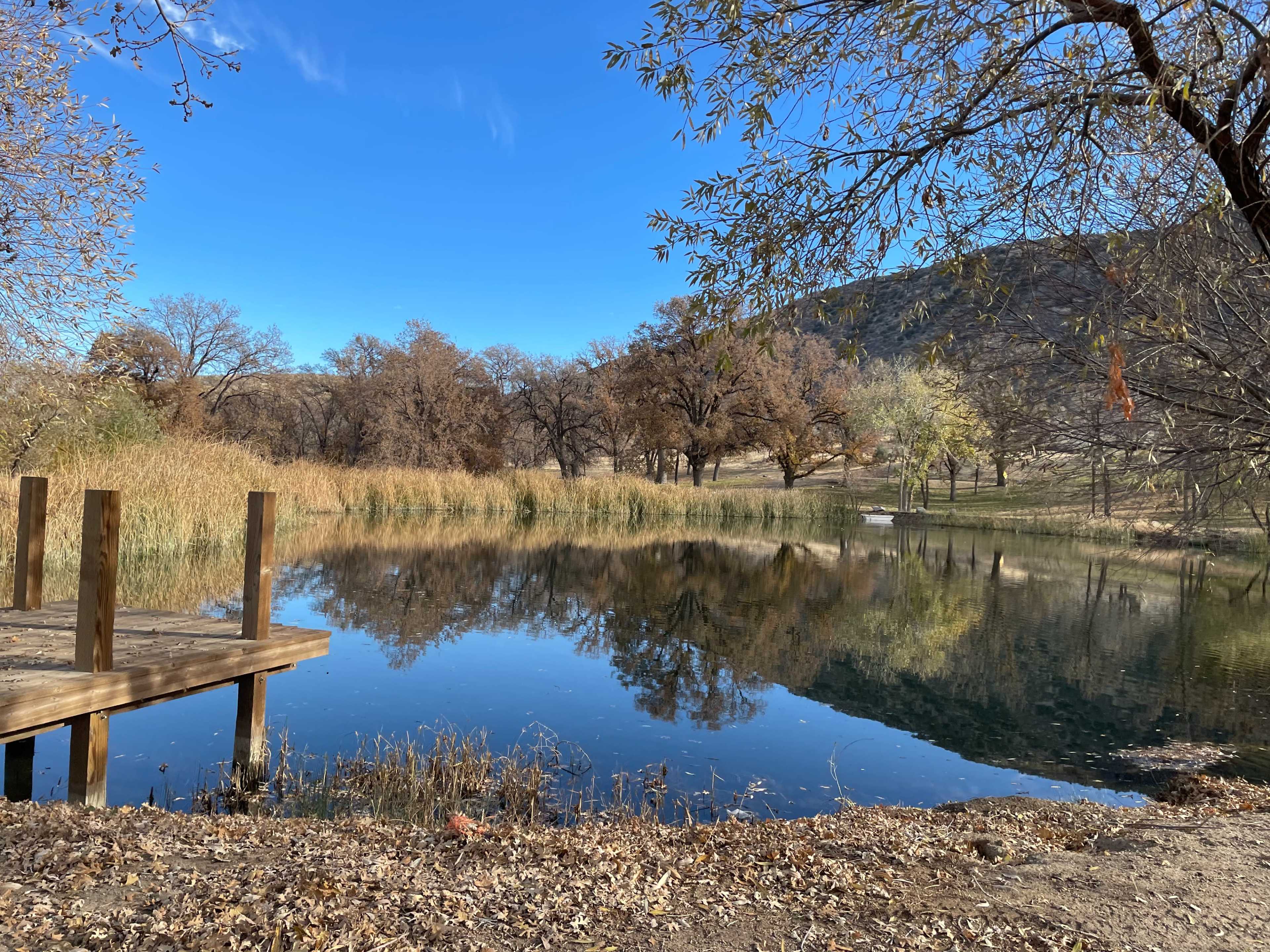 A wooden dock extends over a calm pond surrounded by trees and tall grasses, reflecting the landscape in the water.