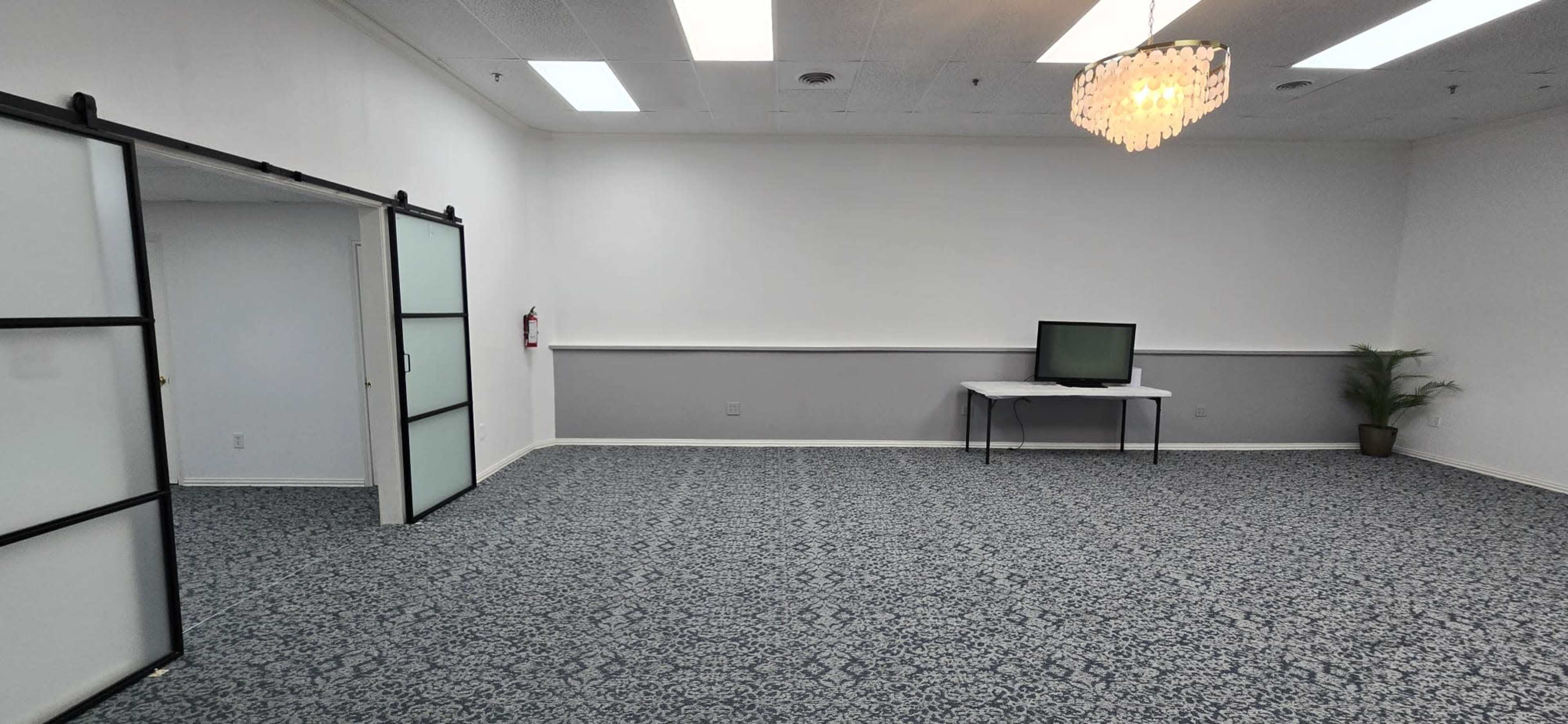 The image shows a mostly empty room with a patterned carpet, a small table with a television on it, and a potted plant in the corner.