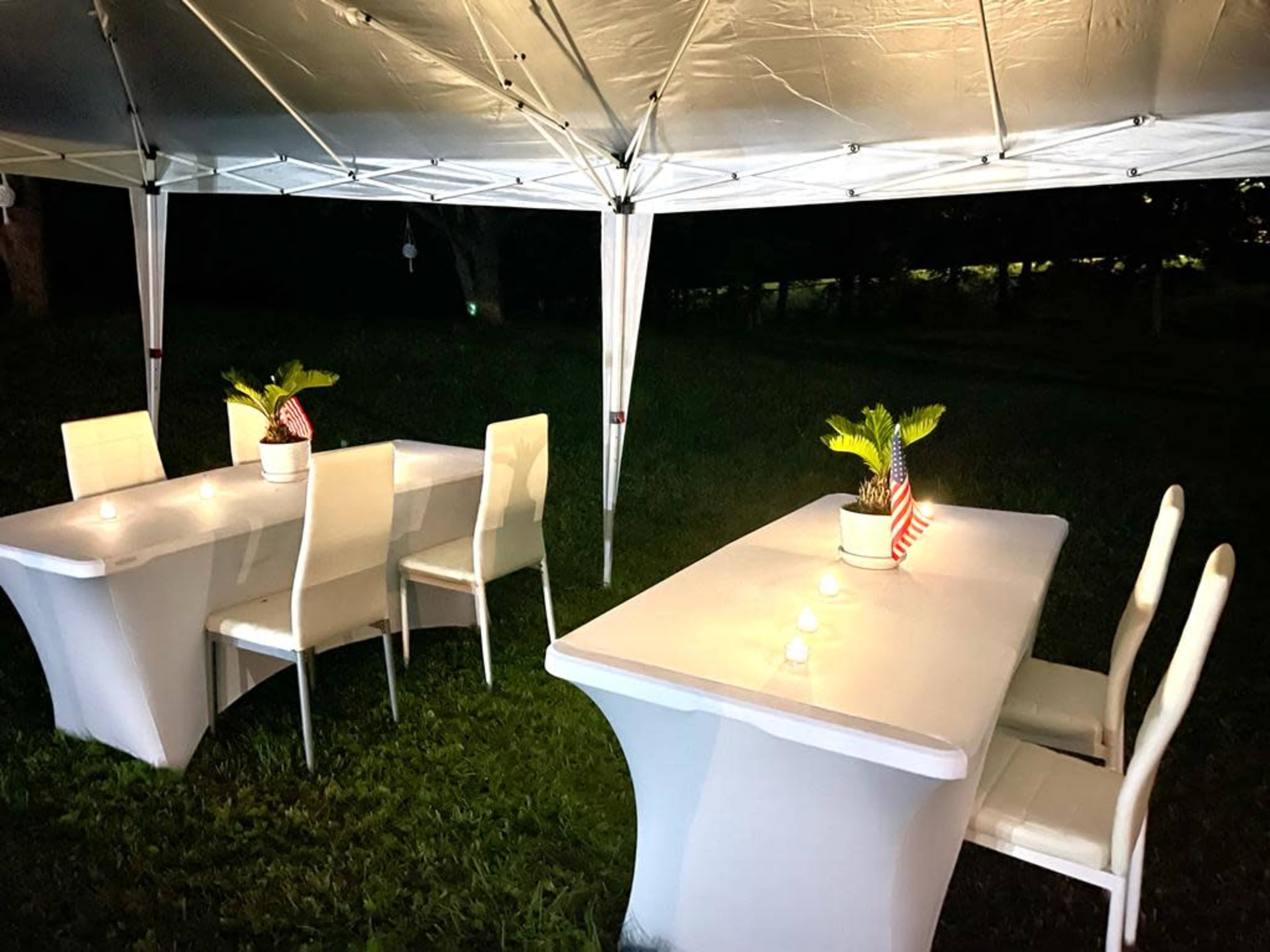 A white tent shelters two tables with potted plants and small lights on a grass area at night.