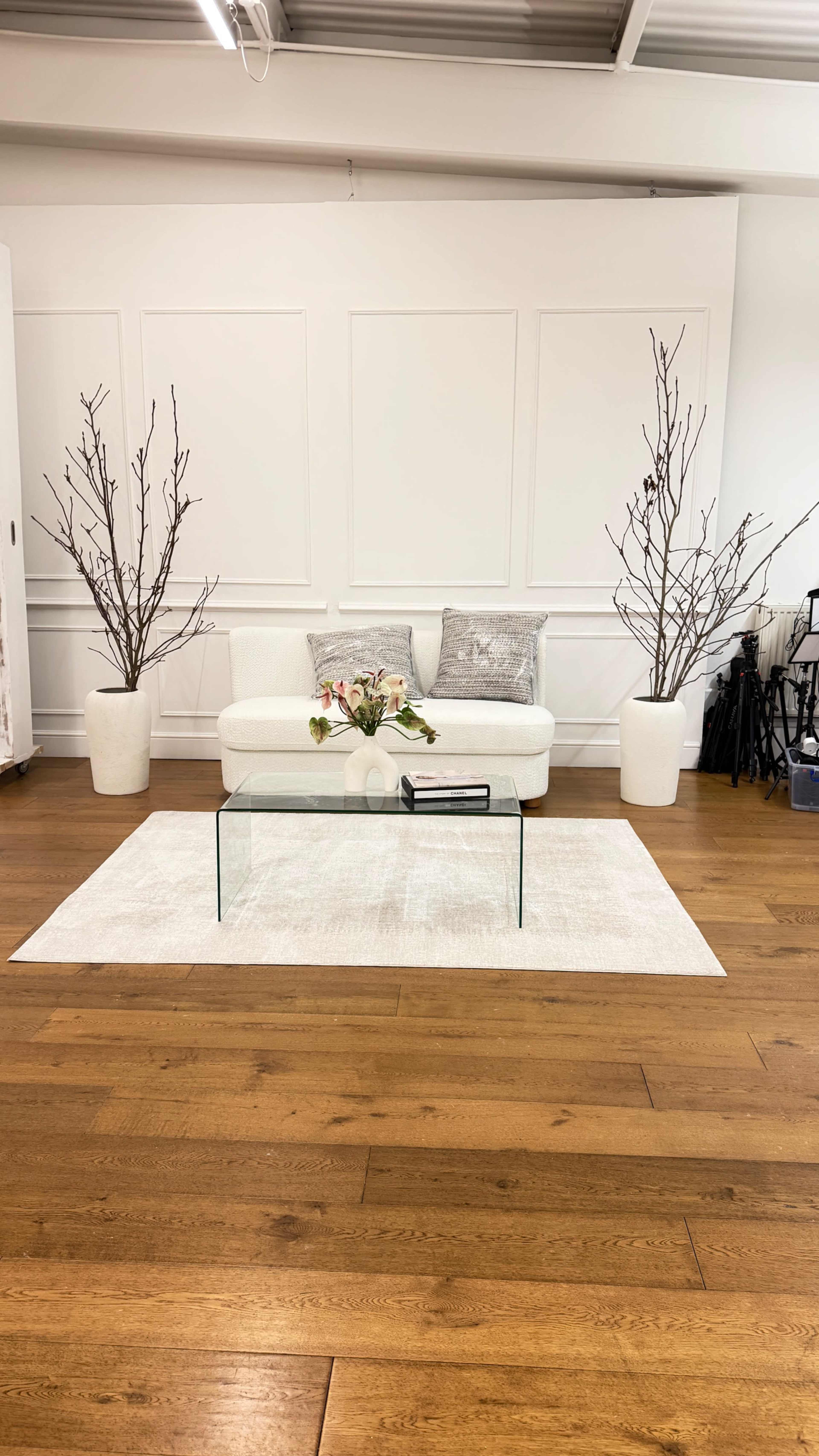 The image shows a modern living space featuring a white sofa, a glass coffee table, and two tall, bare branches in white planters, arranged on a light-colored rug over wooden flooring.