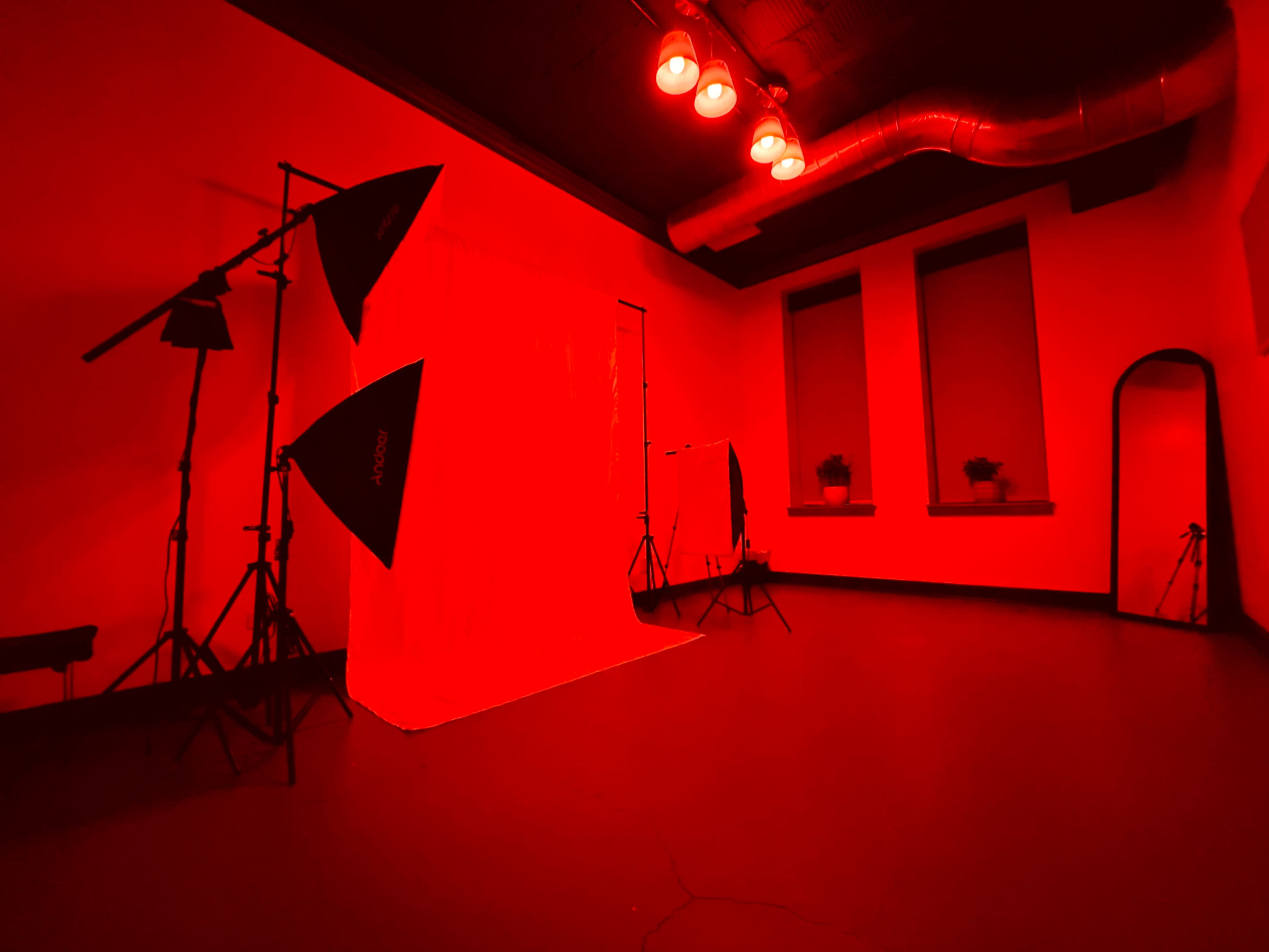 A photography studio features a red backdrop, lighting equipment, and two windows with plants.