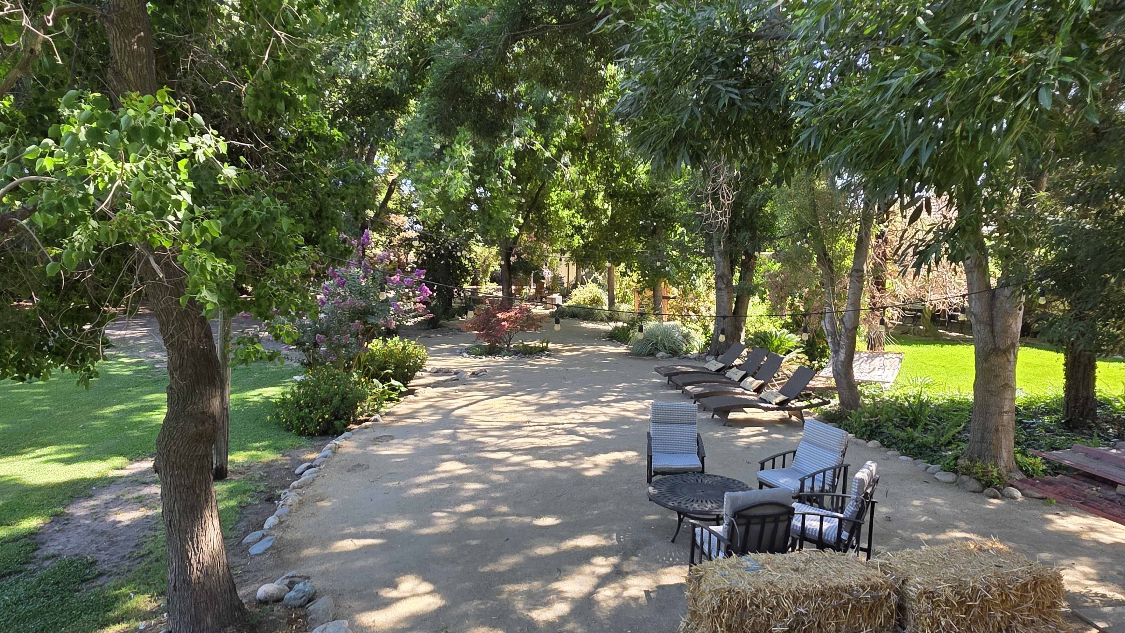 The image depicts a shaded outdoor area featuring a dirt path, lounge chairs, and a small seating arrangement surrounded by greenery and flowering plants.