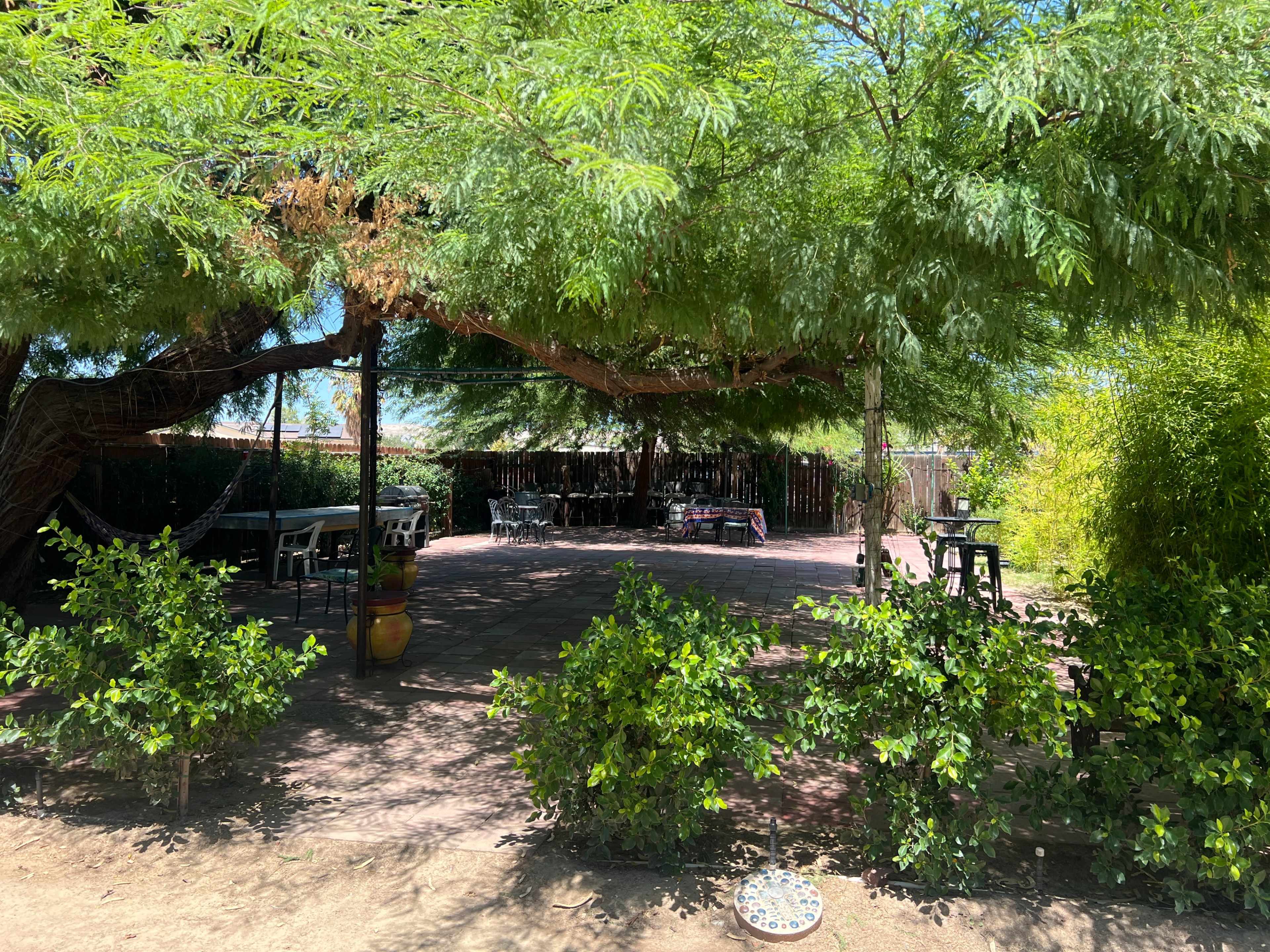 The image shows a shaded outdoor seating area surrounded by greenery and trees.