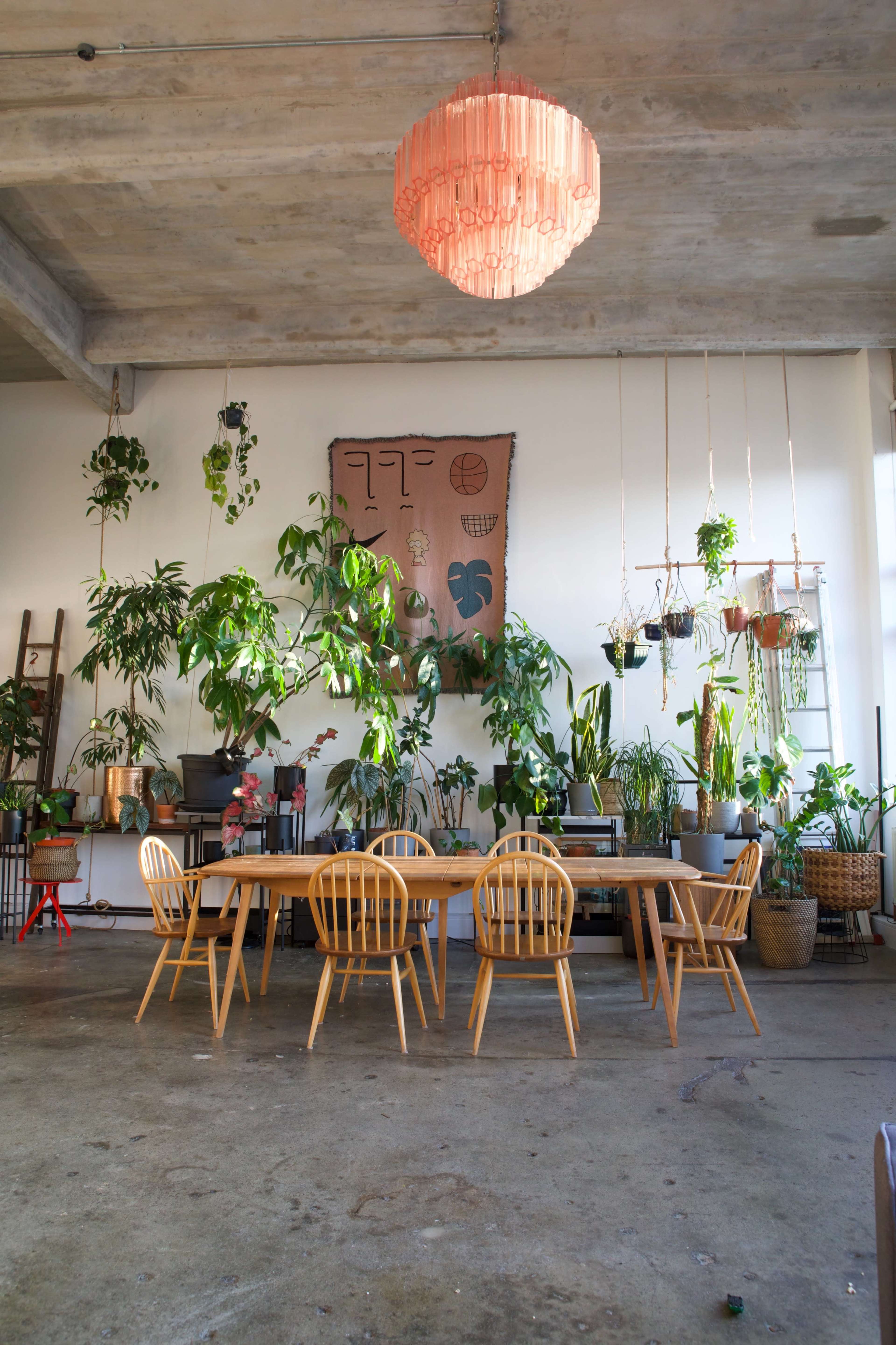 A large wooden dining table with wooden chairs is set in a well-lit room adorned with various hanging and potted plants.