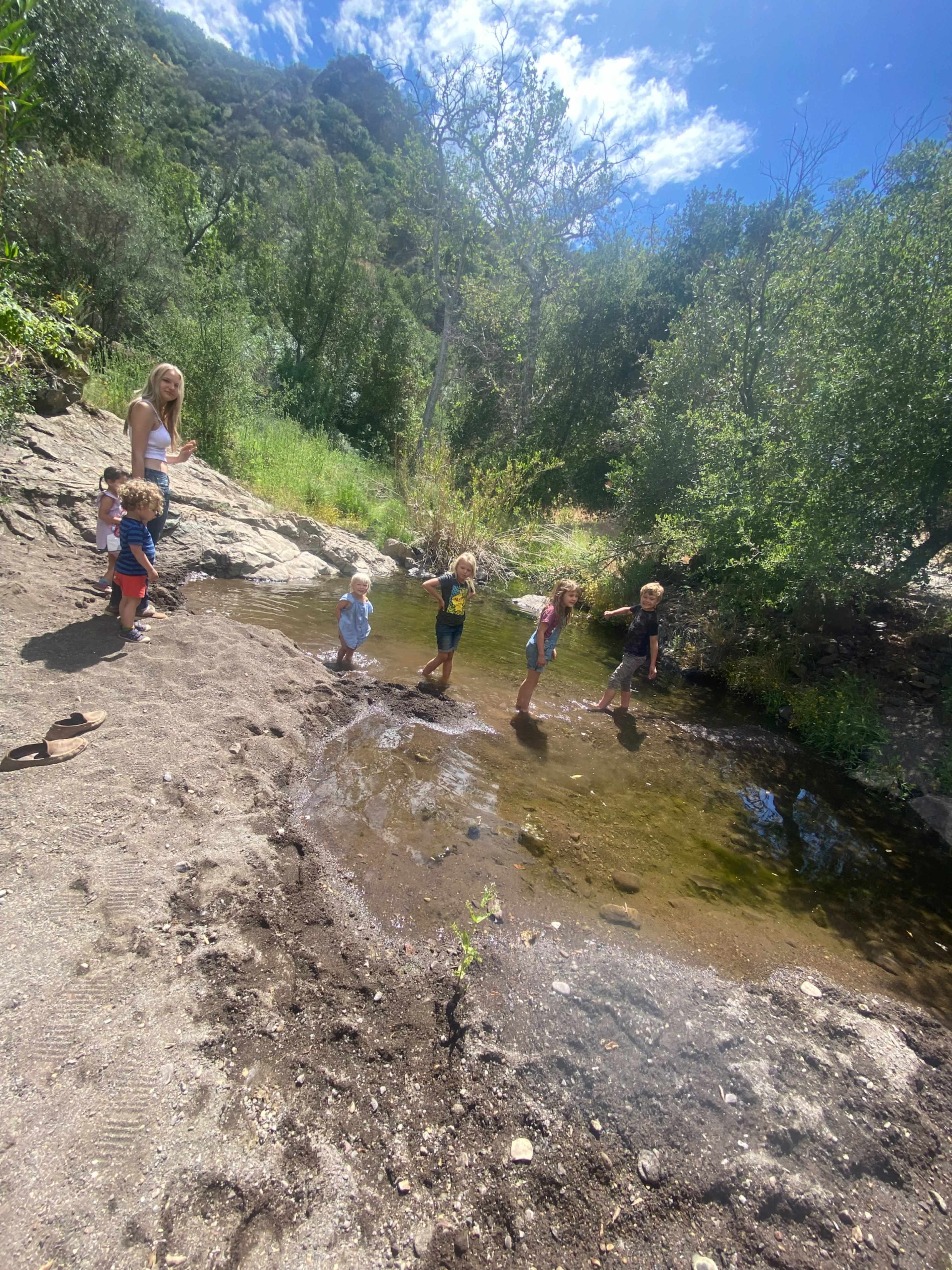 A group of children and an adult stand in a shallow stream surrounded by trees and rocky terrain on a sunny day.