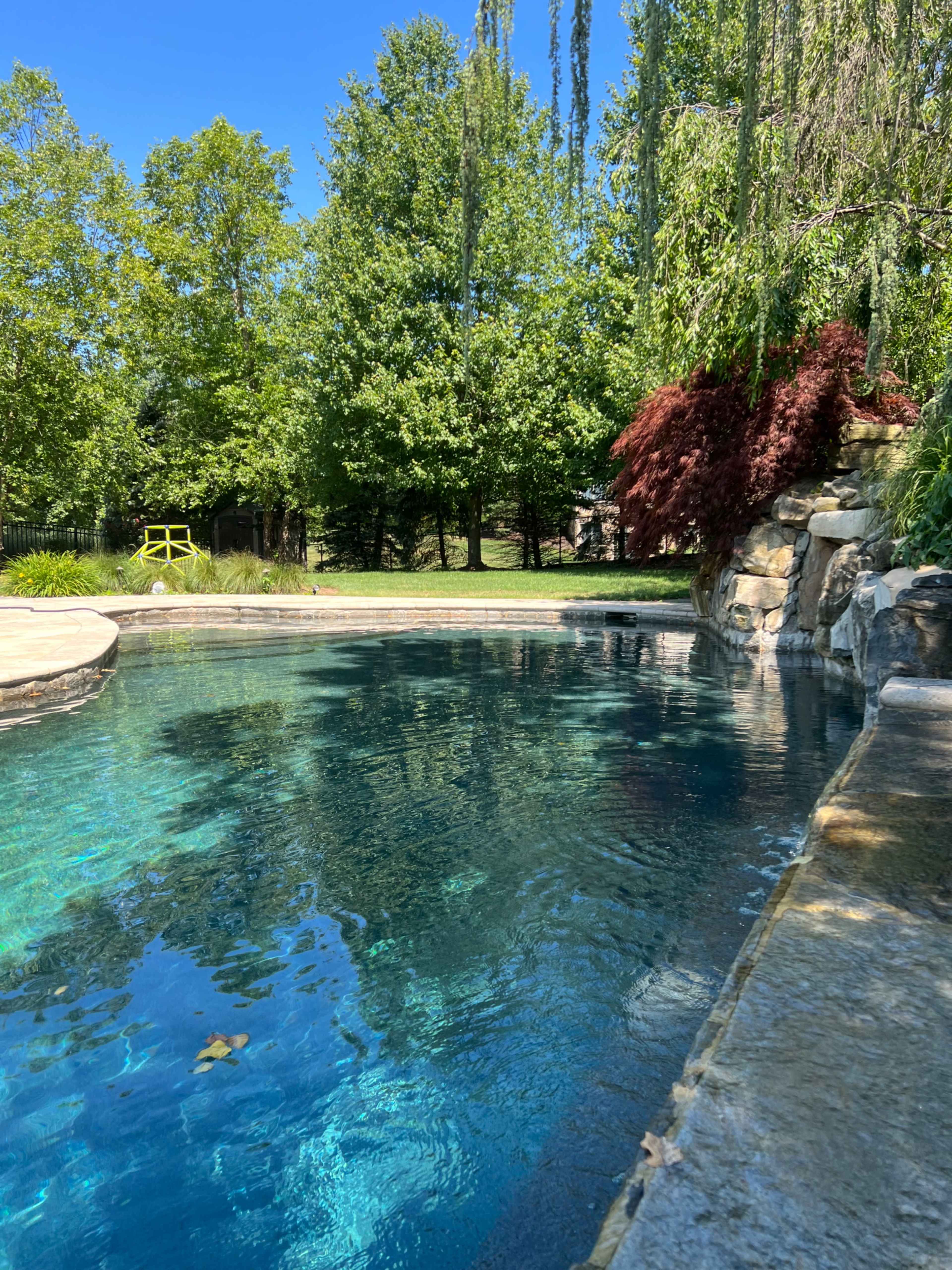 A clear blue swimming pool reflects the surrounding trees and landscape, with a stone edge and a rock formation nearby.