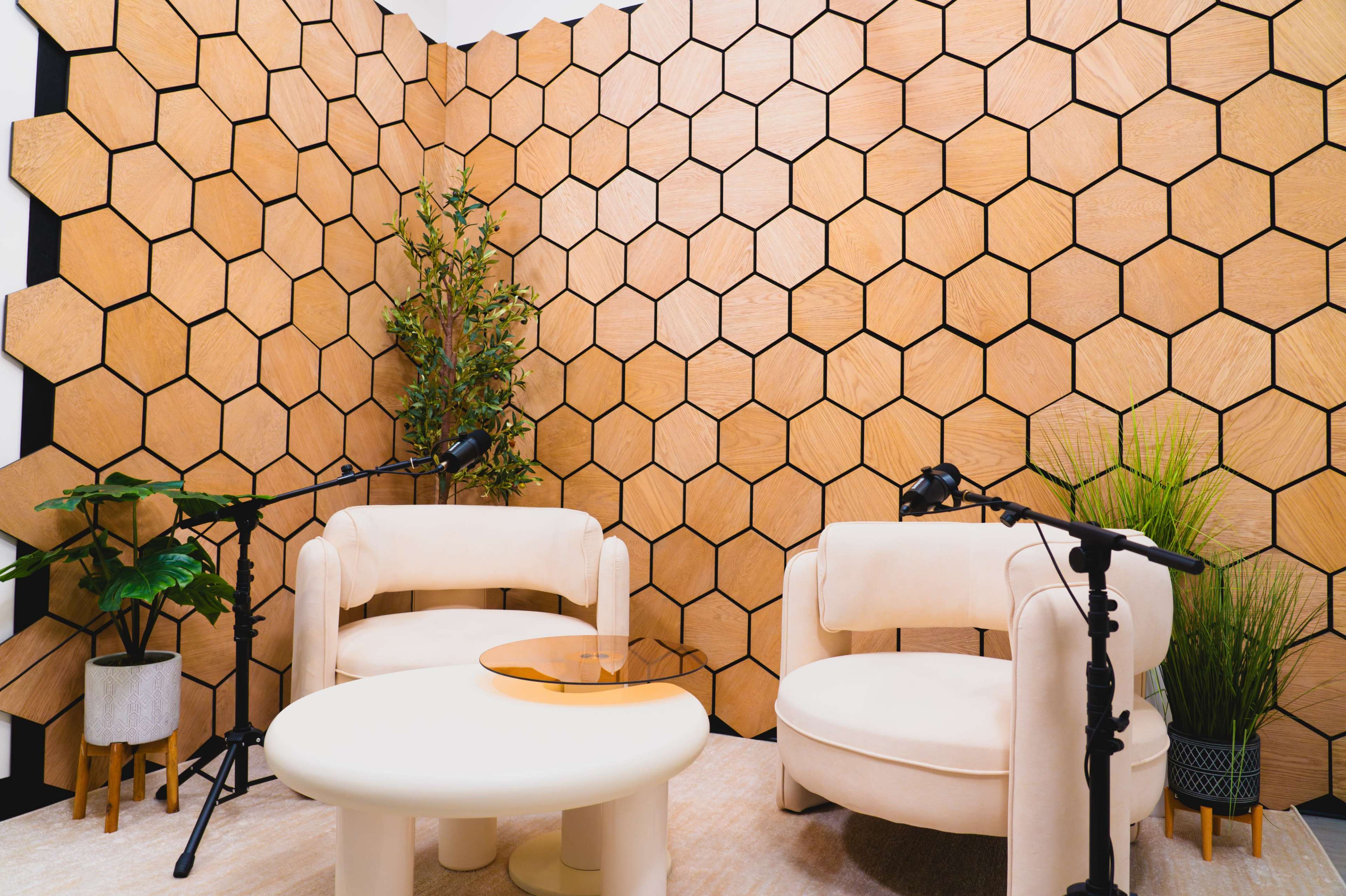 The image shows a modern interview setup with two cream-colored chairs, a round white table, and microphones, surrounded by a hexagonal wood-patterned wall and some potted plants.