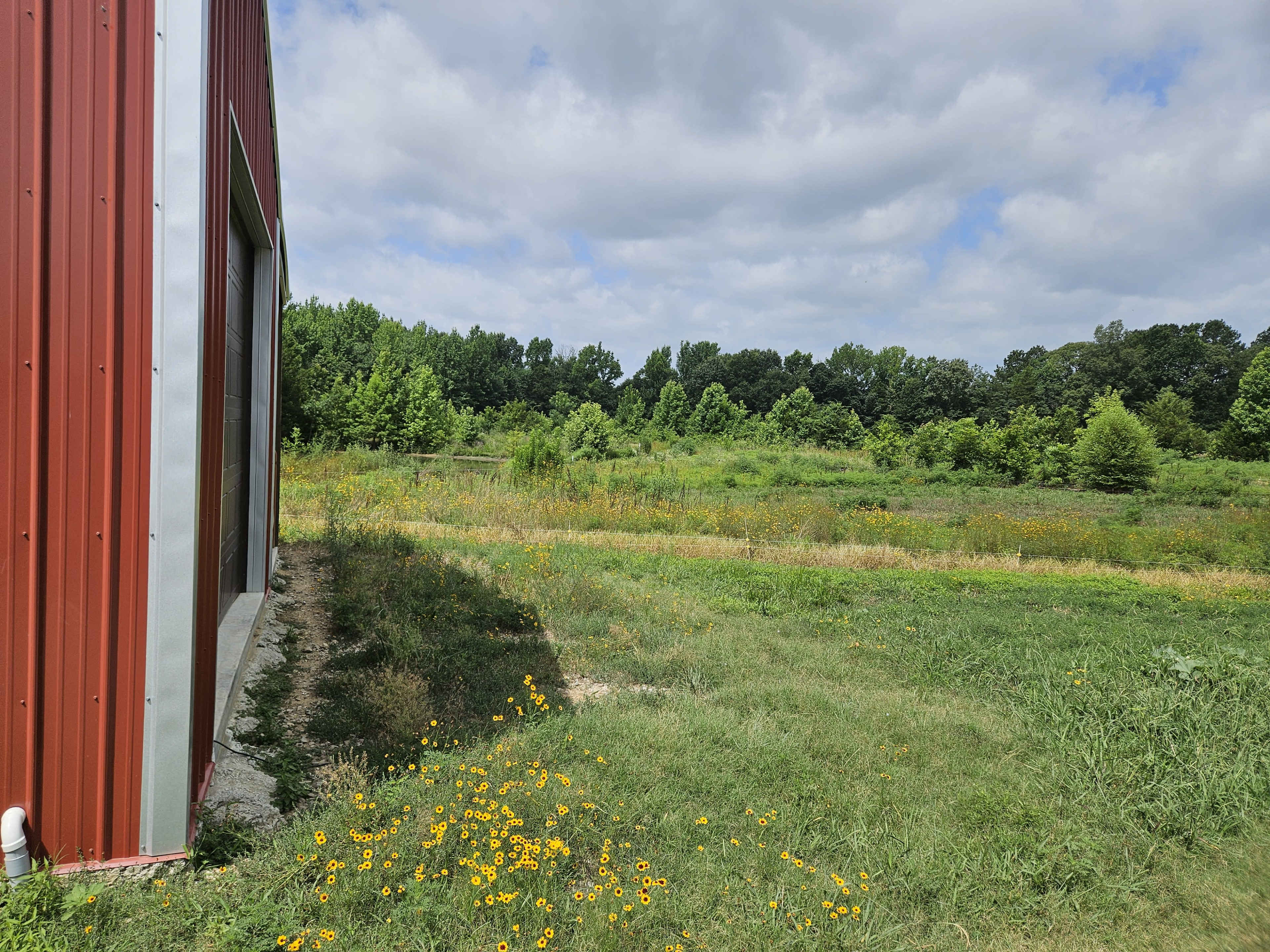 The image shows a red metal building beside a grassy field dotted with wildflowers and trees in the background under a cloudy sky.