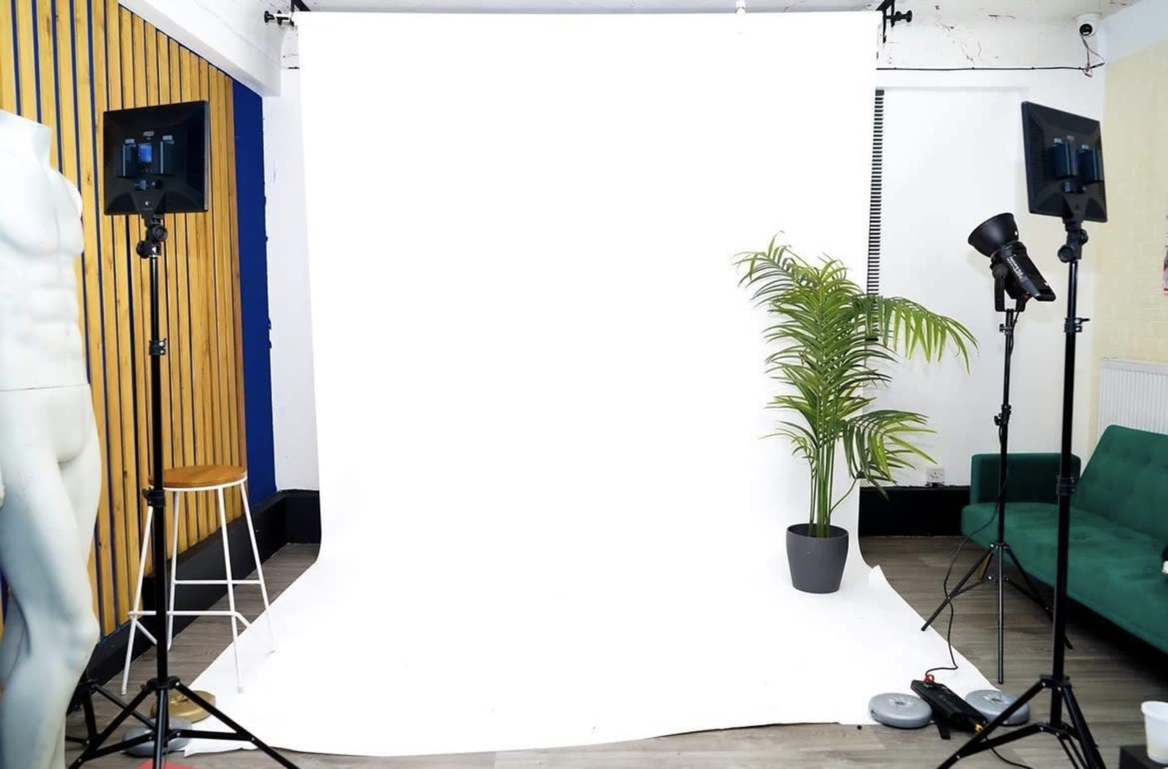 An indoor photography setup featuring a white backdrop, lighting equipment, a potted plant, and a green sofa.