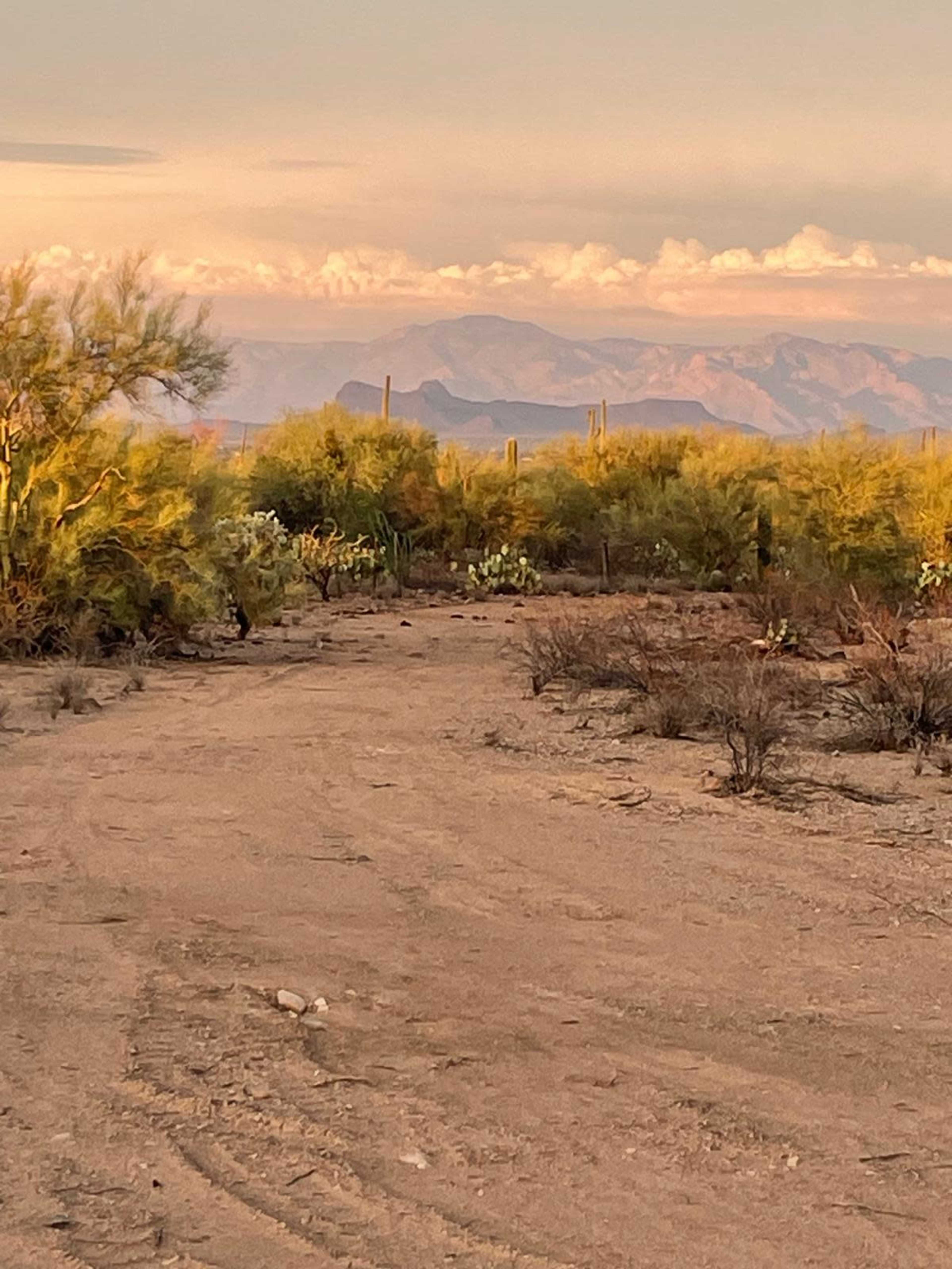 A dirt path winds through a desert landscape with sparse vegetation and distant mountains under a colorful sky.
