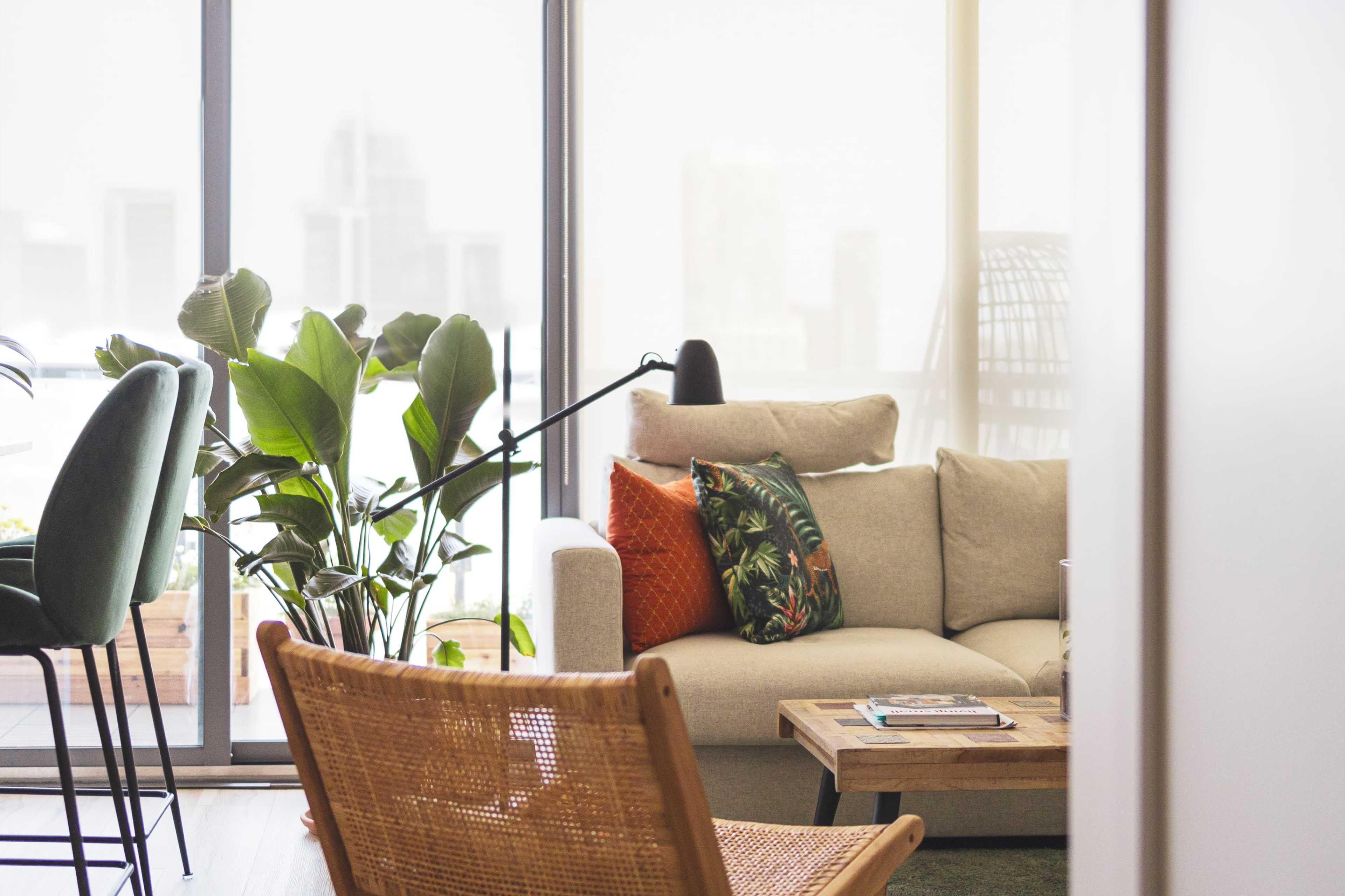 A bright living area features a beige sofa with decorative pillows, a wooden coffee table, and a large potted plant, alongside large windows offering a view of a city skyline.