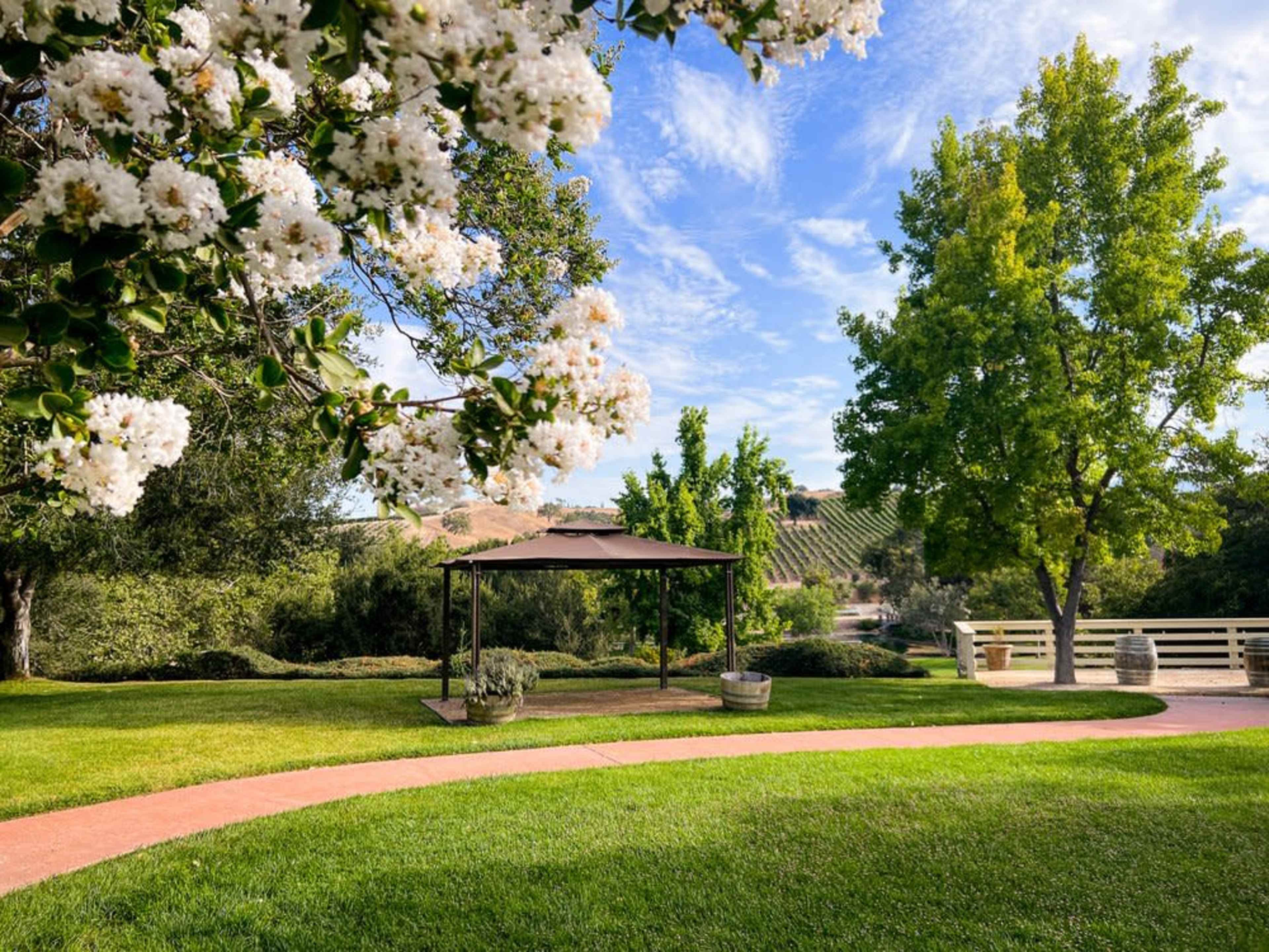 A landscaped garden with a gazebo surrounded by flowering trees and grassy pathways leading to a vineyard in the background.