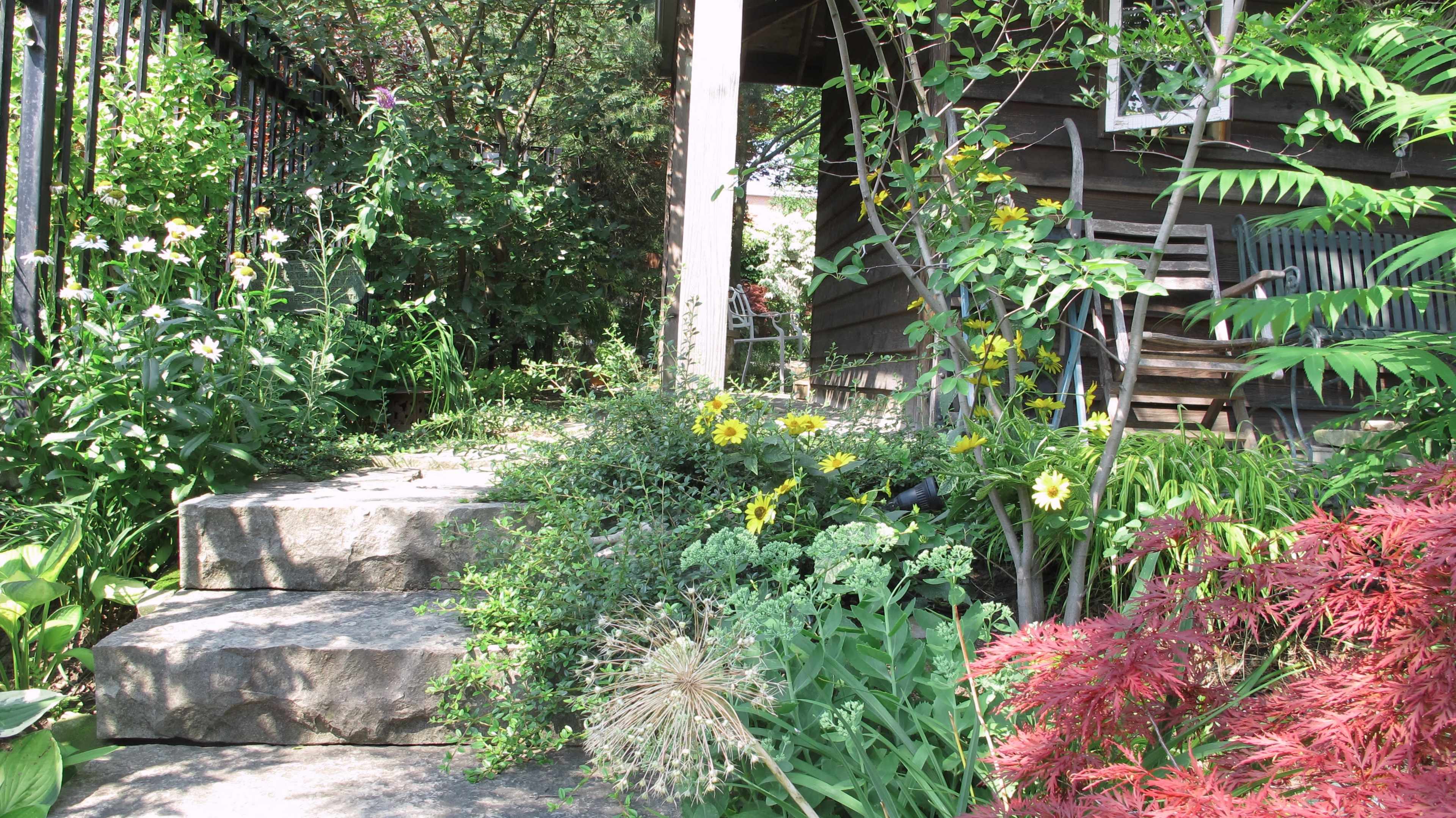 A stone pathway leads to a wooden house, bordered by various plants and flowers.