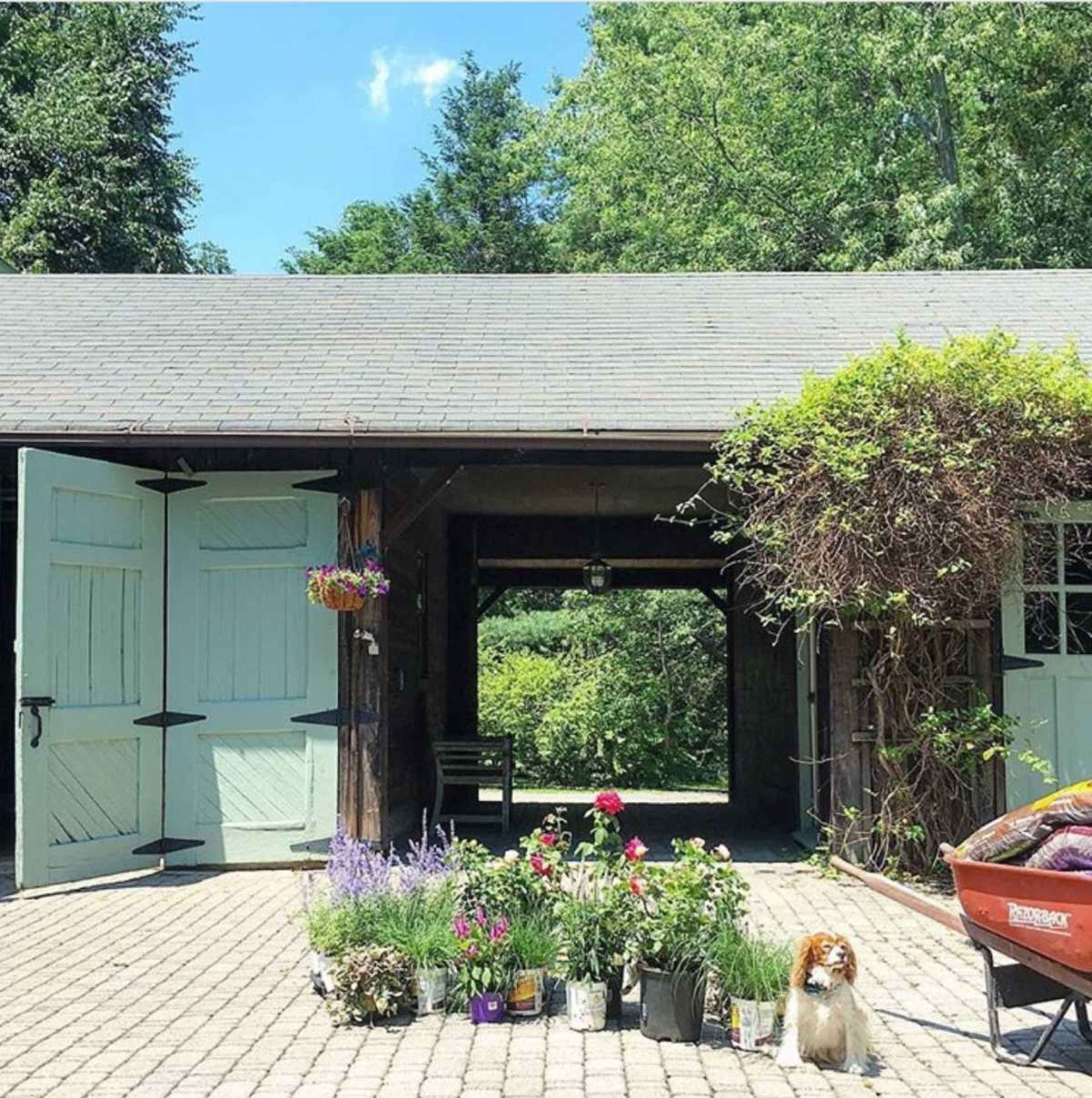 A rustic barn entrance is flanked by colorful flower pots and a small dog sits on a stone pathway.