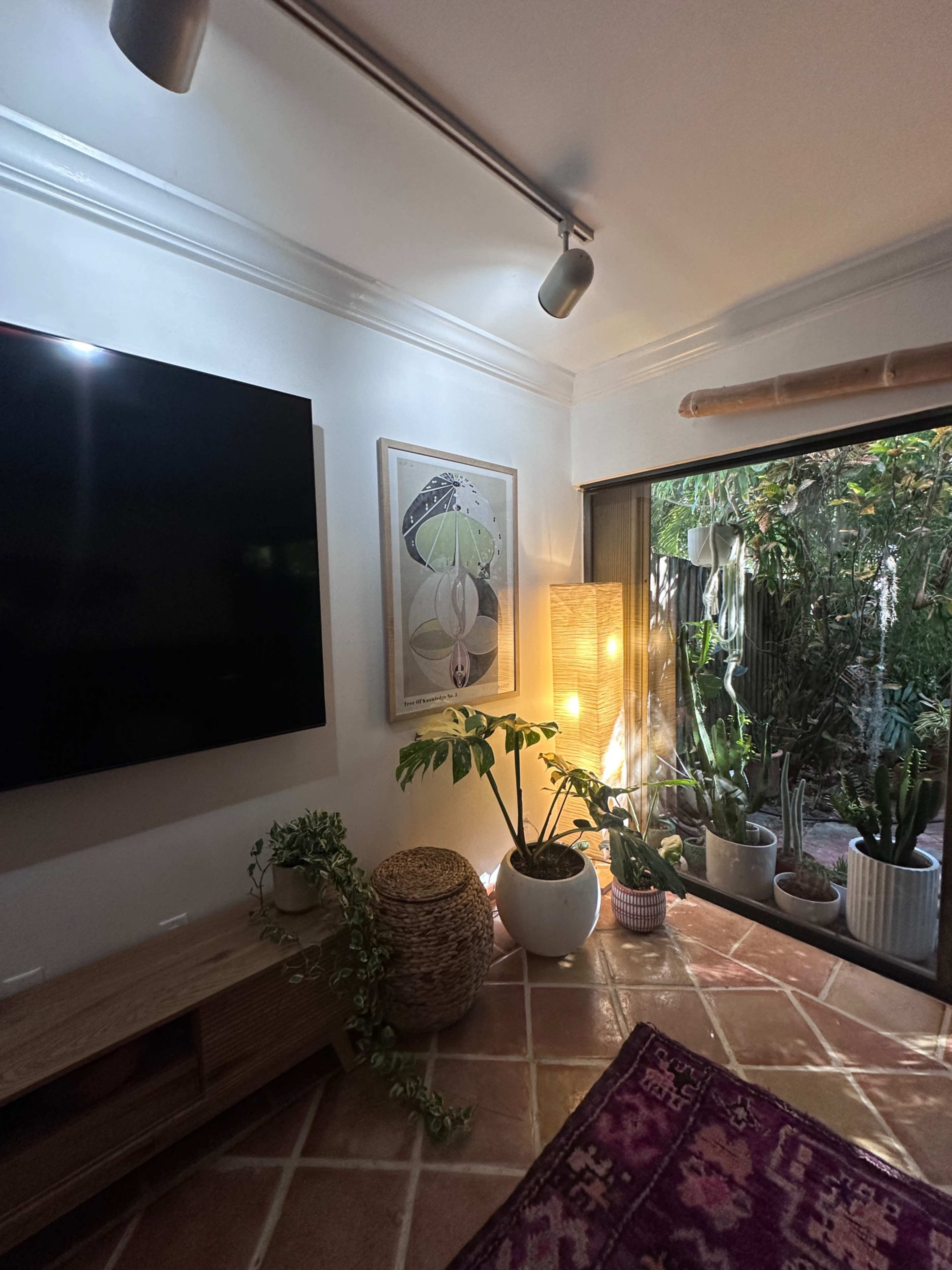 The image shows a living room with a large television mounted on the wall, a framed artwork, a tall lamp, and various potted plants near a glass door leading to an outdoor garden.