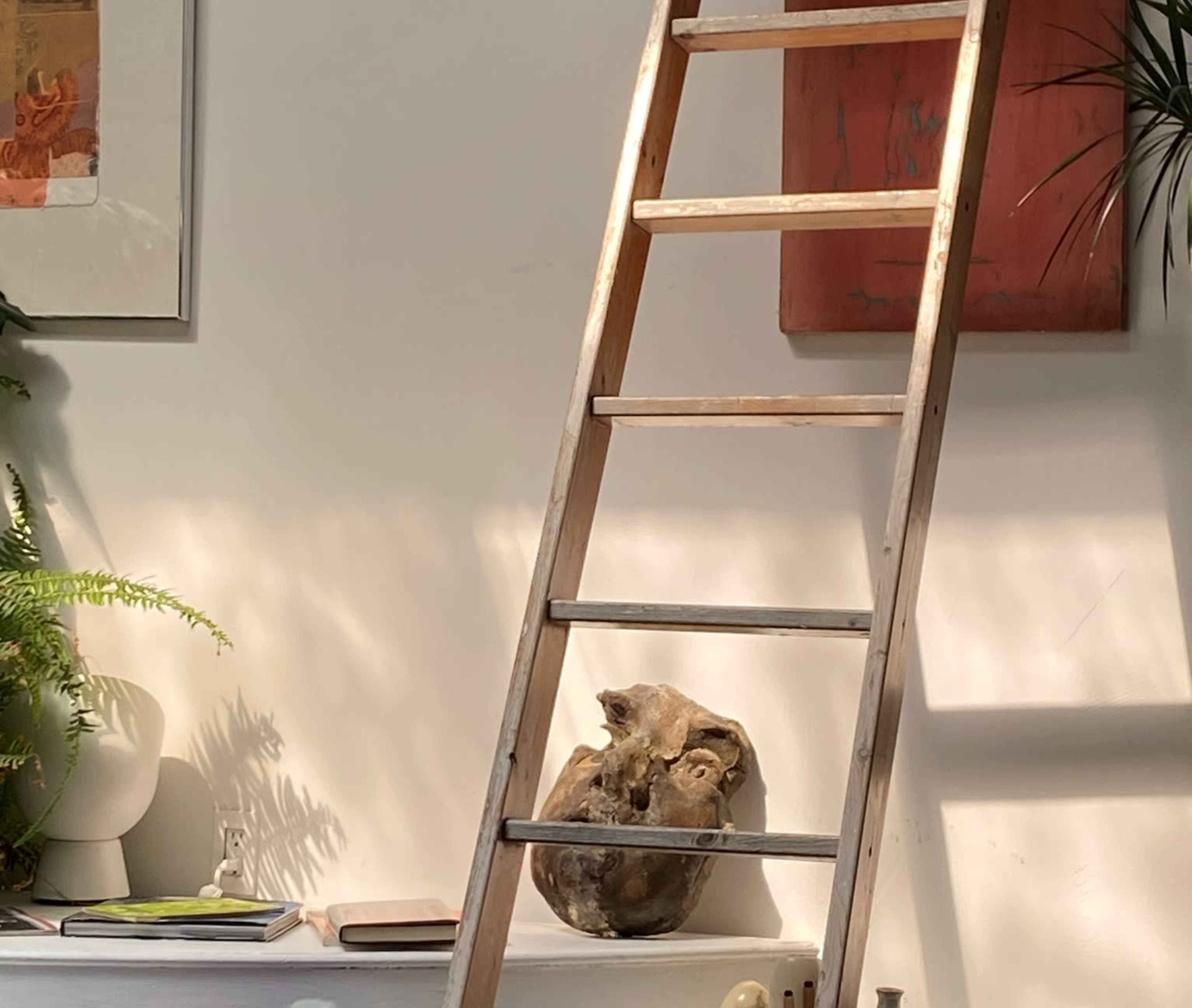 A wooden ladder leans against a wall, next to a potted plant and a decorative object, with framed art in the background.