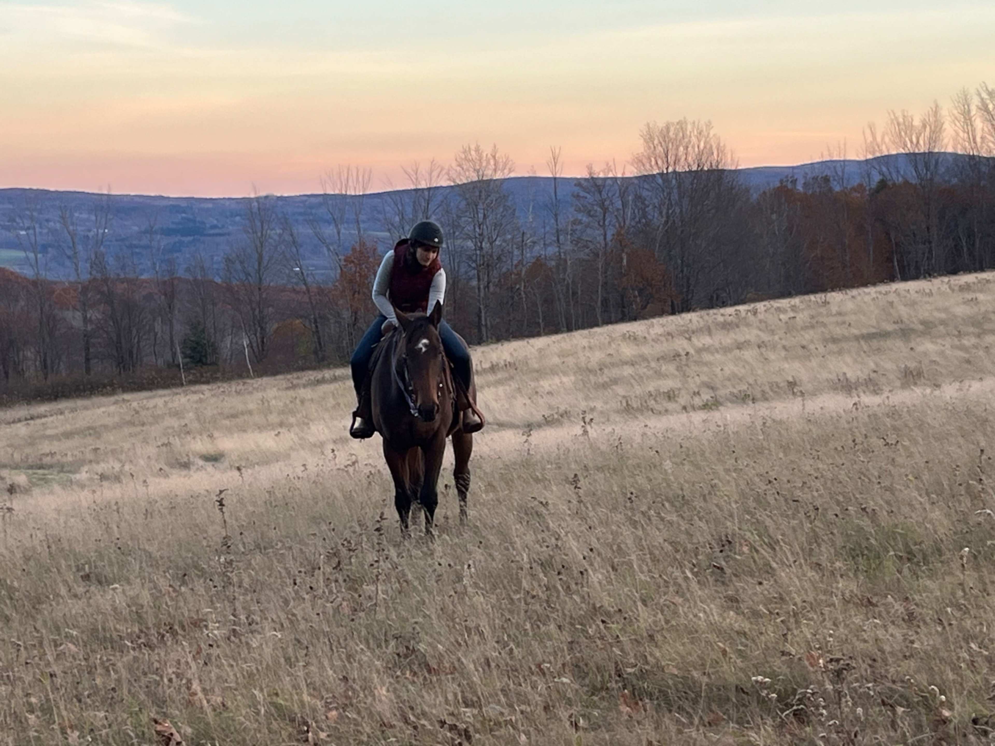 A person on horseback rides through a grassy field at sunset, with wooded hills visible in the background.
