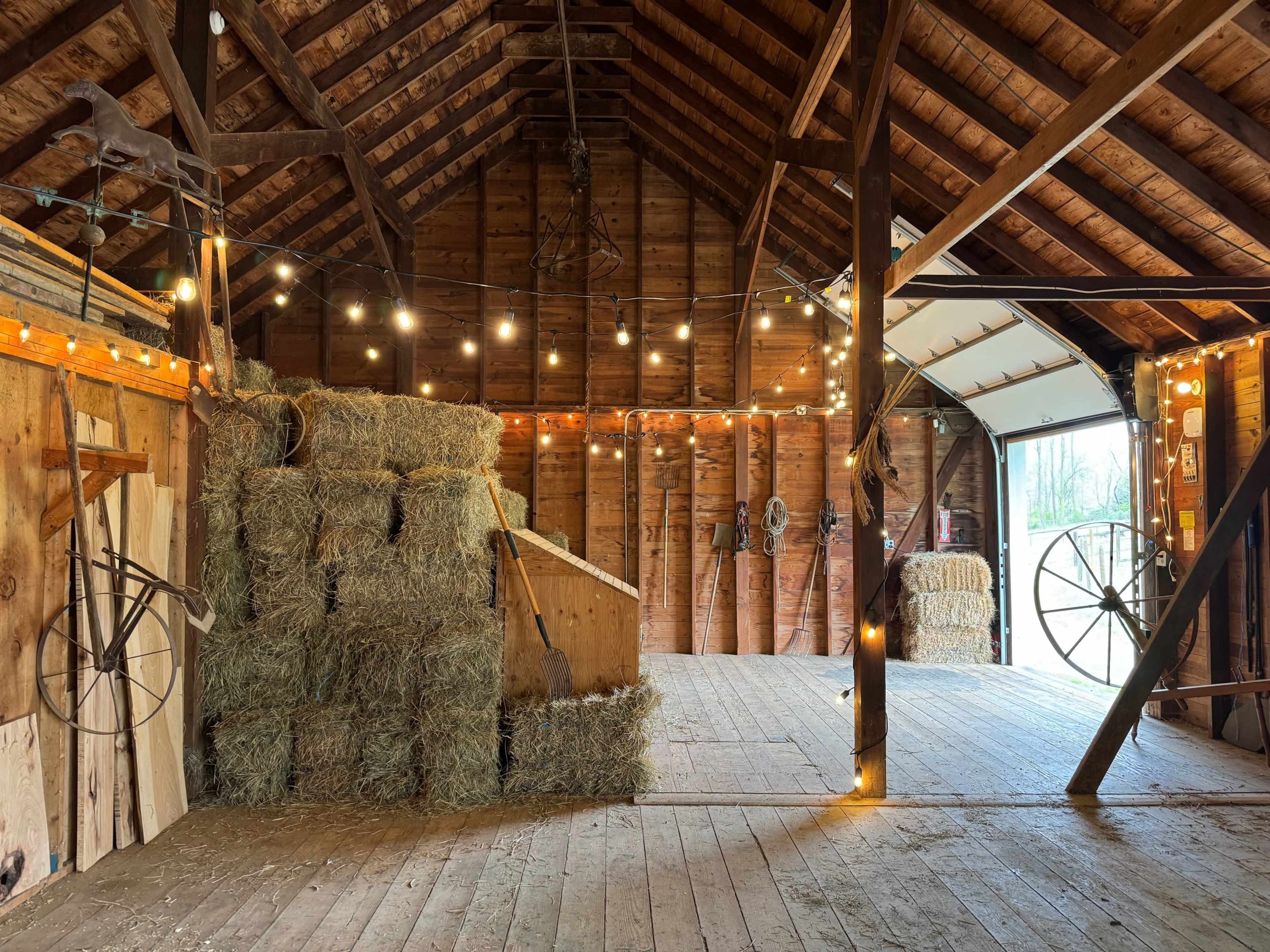 The interior of a barn features stacked bales of hay, wooden beams, and string lights hanging from the ceiling.