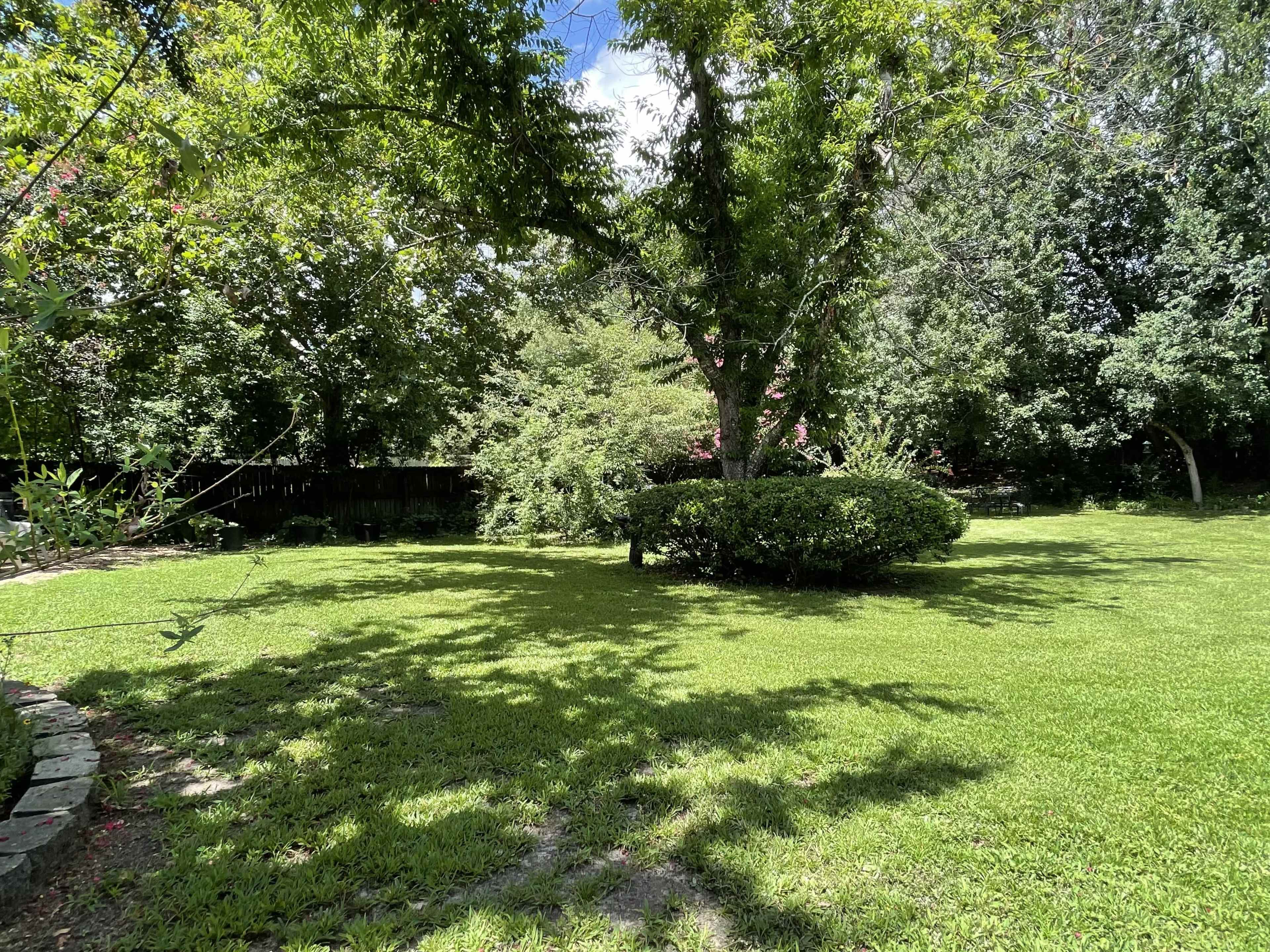 The image shows a lush green backyard with a large tree and manicured bushes under a bright sky.