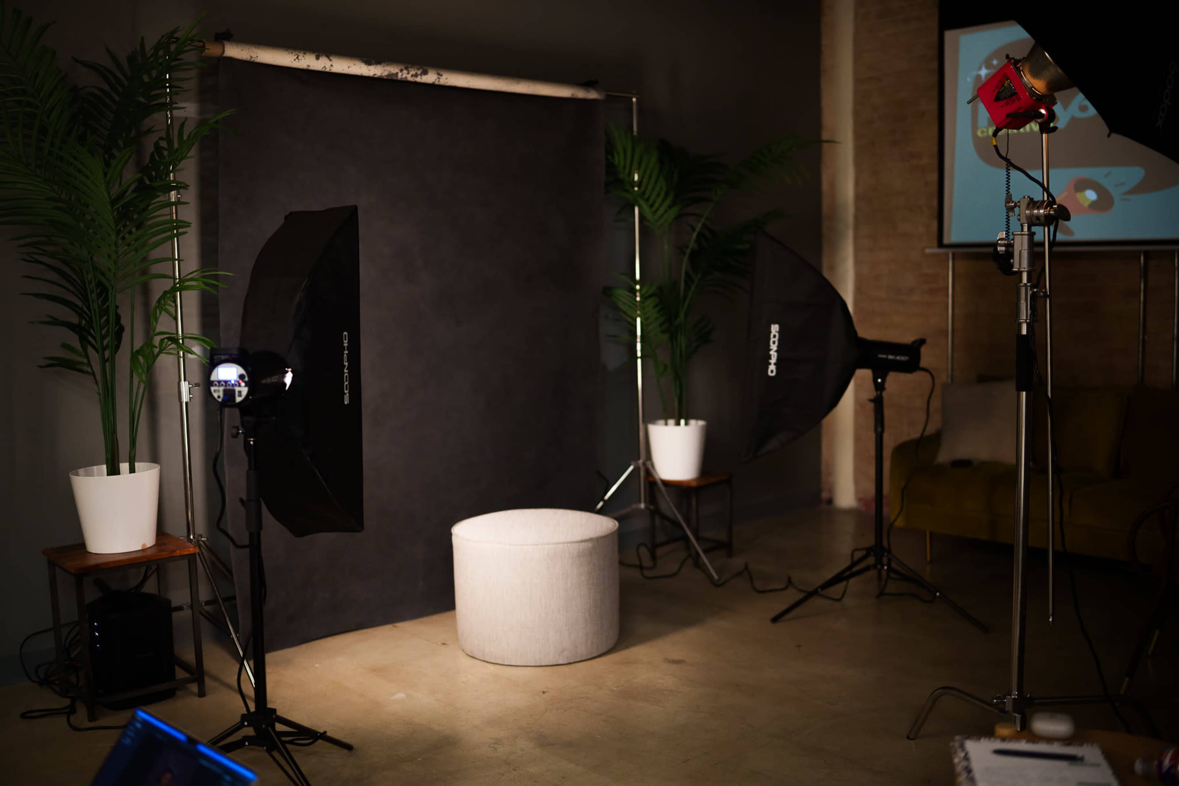 The image shows a photography studio setup with a dark backdrop, two softbox lights, a round stool, and potted plants.