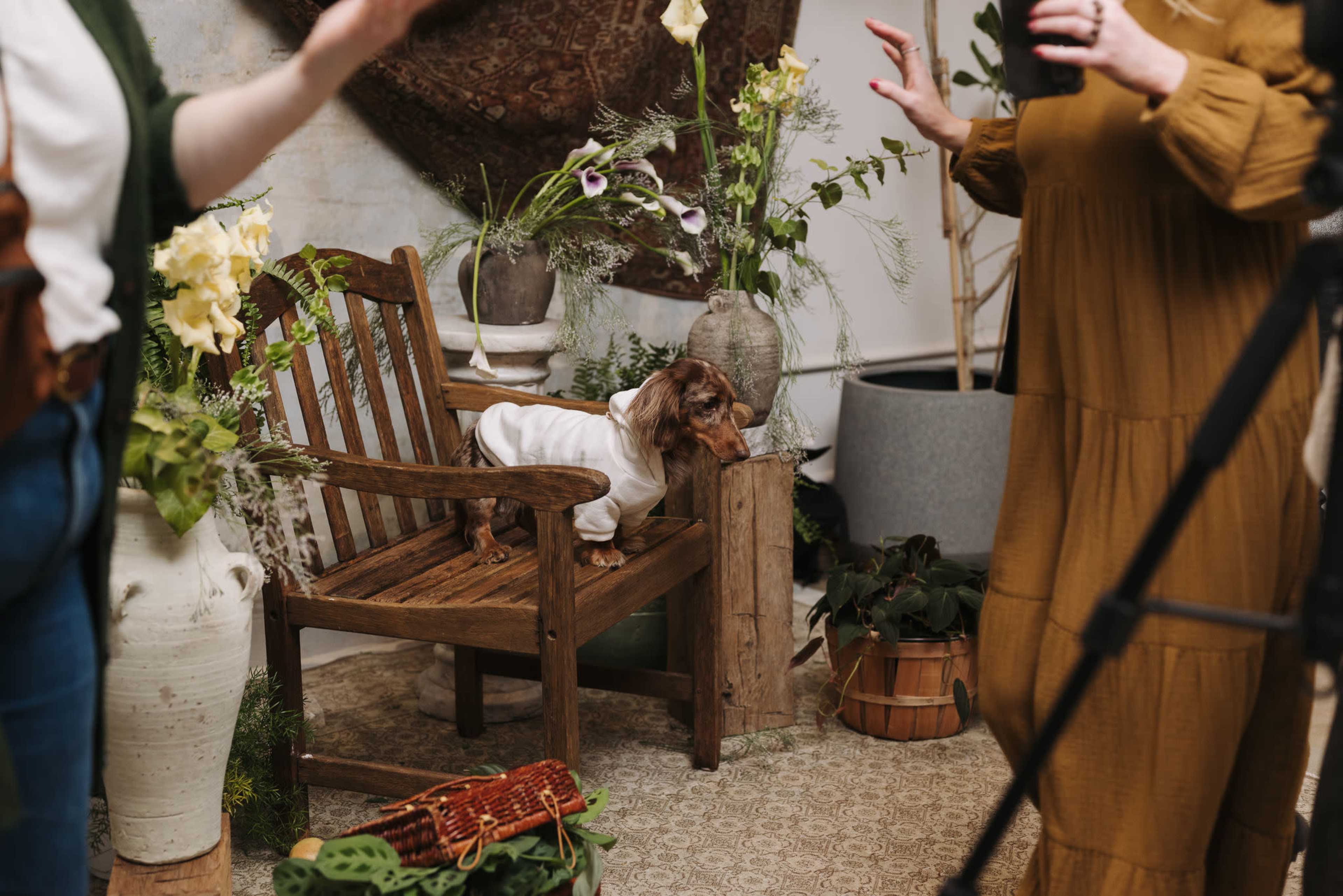 Daylight Studio + Vintage Rug Showroom Image in East Passyunk Crossing, Philadelphia, PA