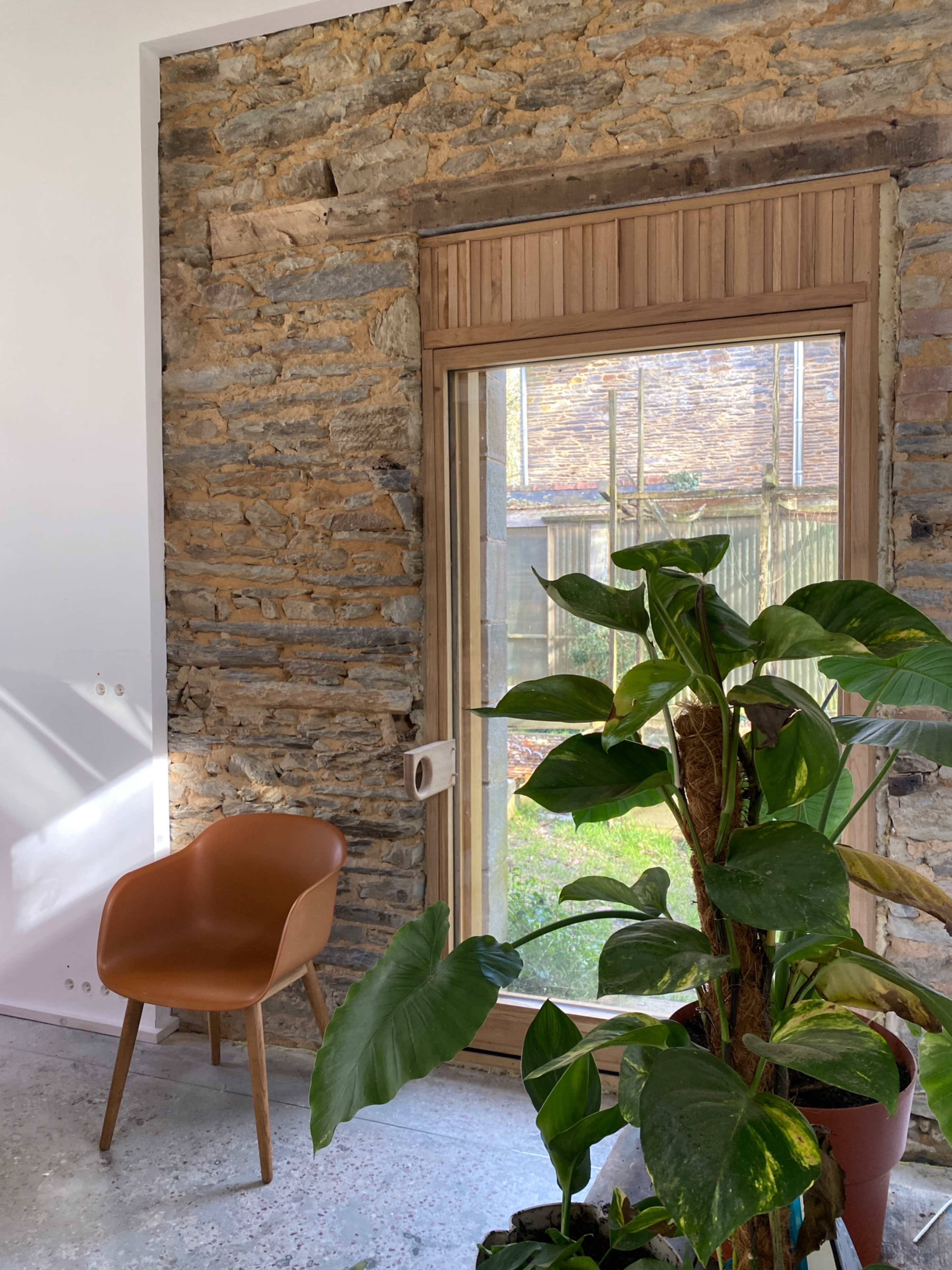 A wooden chair is positioned beside a large green plant in front of a glass door that opens to an outdoor area with a stone wall in the background.