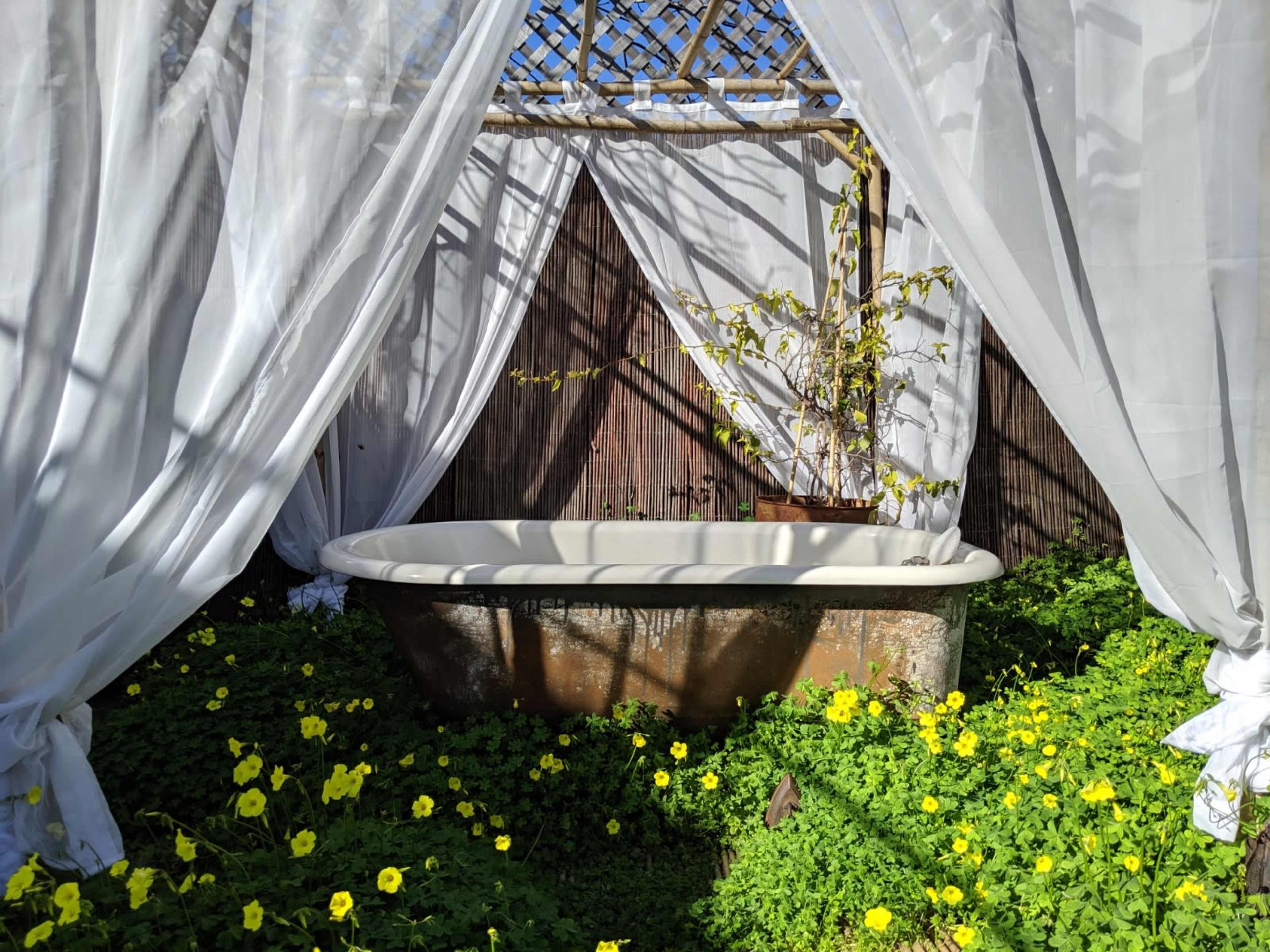 A vintage bathtub is surrounded by flowering plants and draped white fabric in a garden setting.