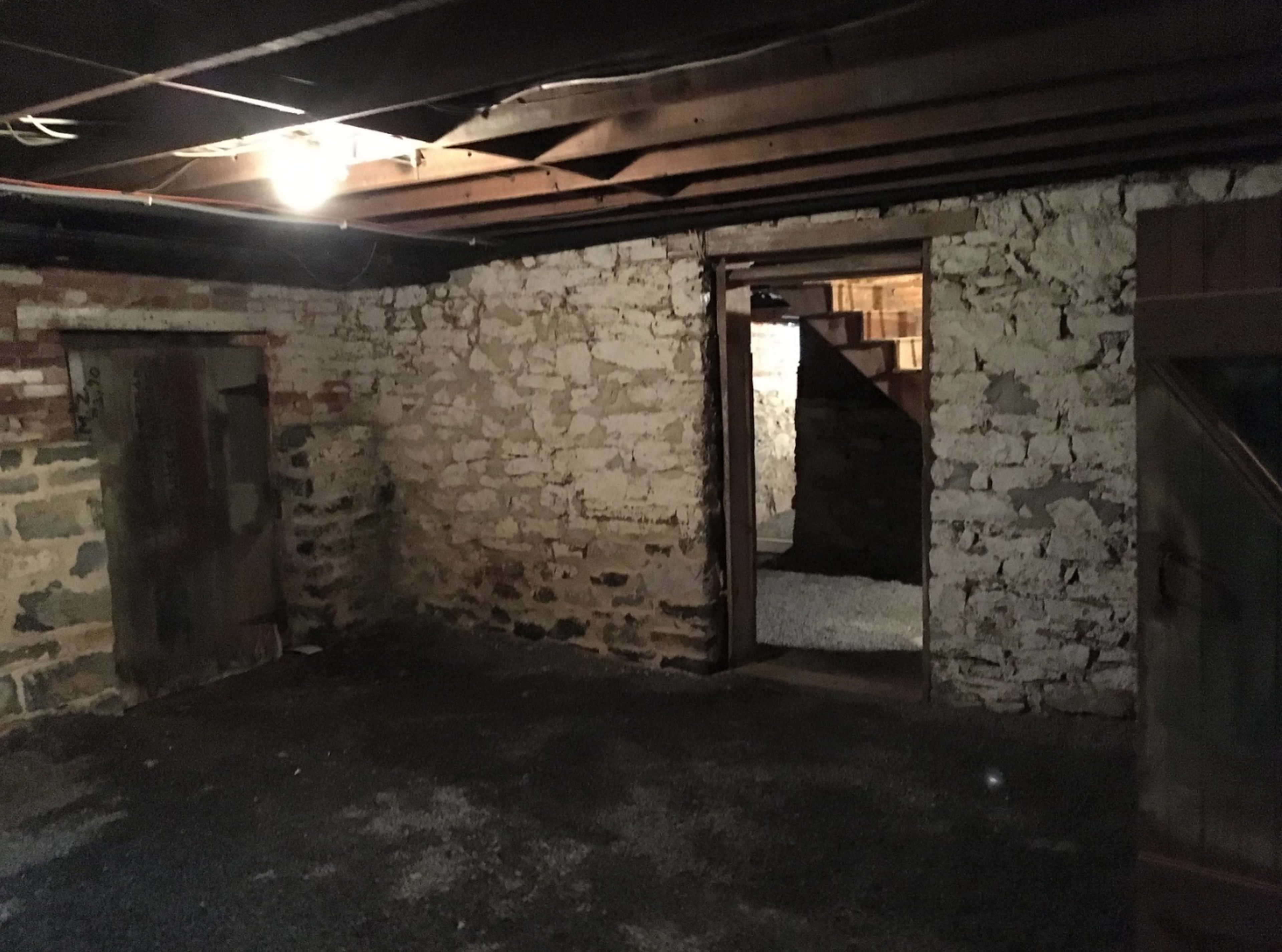 A dimly lit stone basement with two doors and a staircase leading to an upper level.