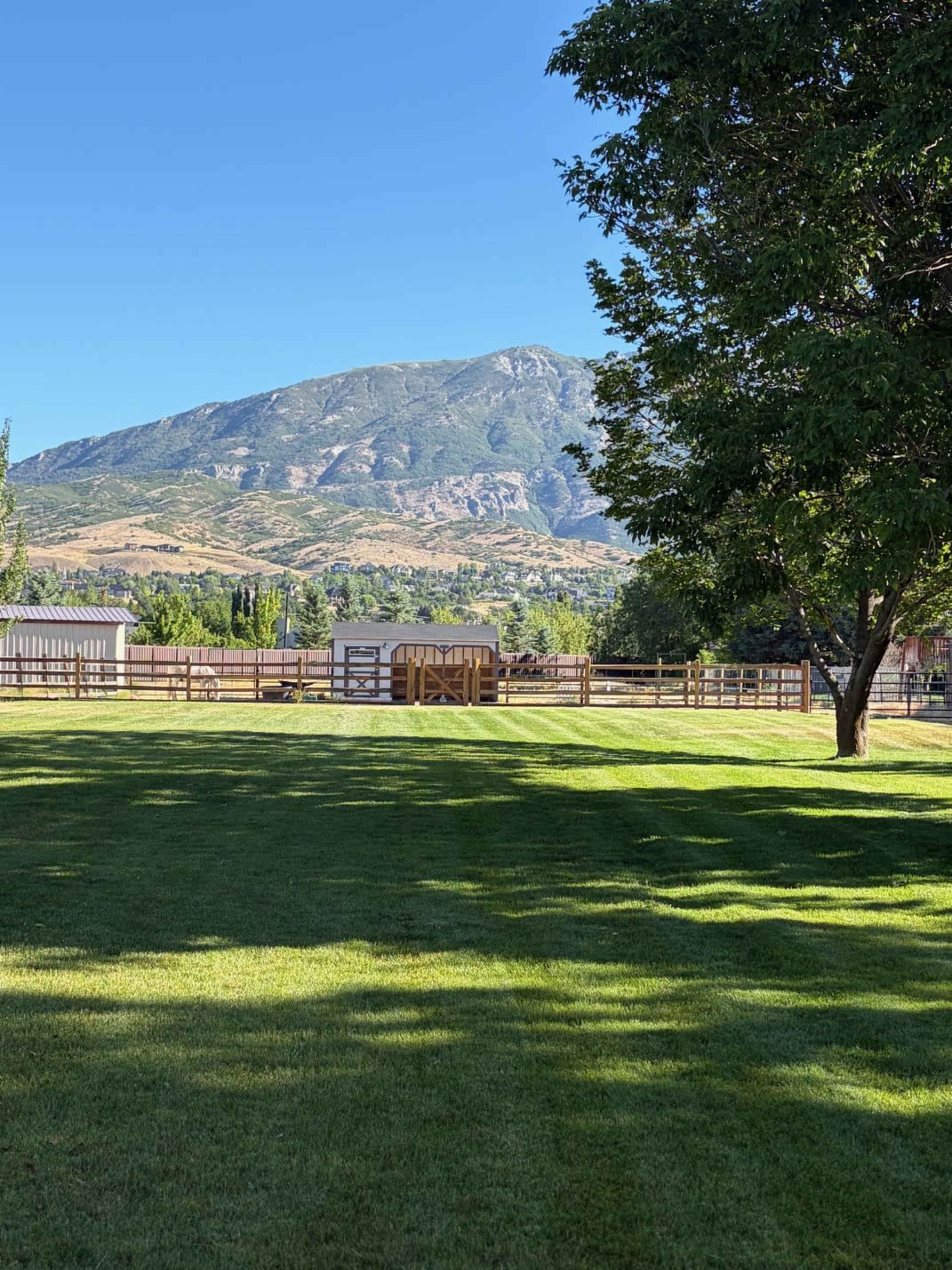 The image shows a well-manicured lawn with a fenced area and a mountain in the background under a clear blue sky.